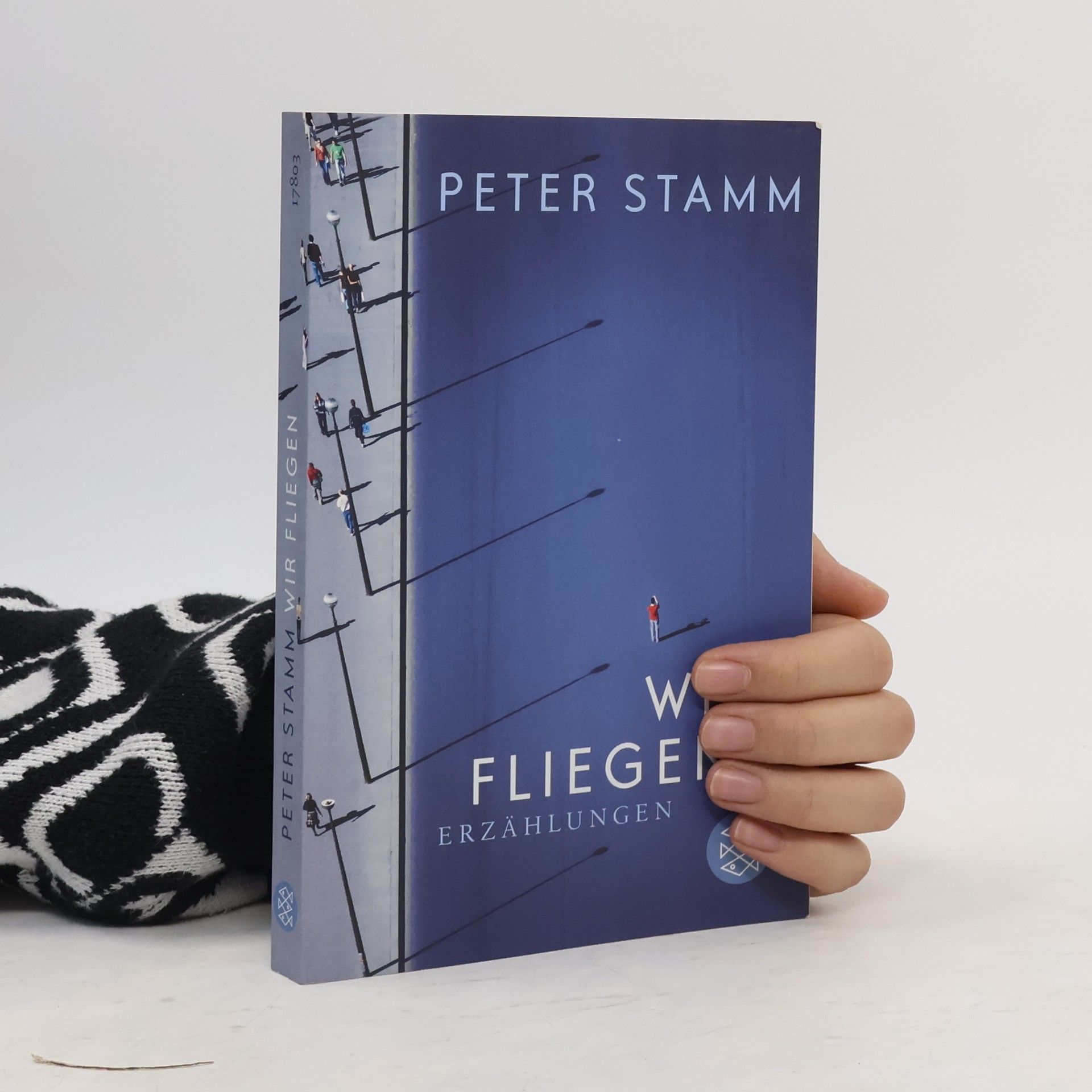 Peter Stamm Wir fliegen