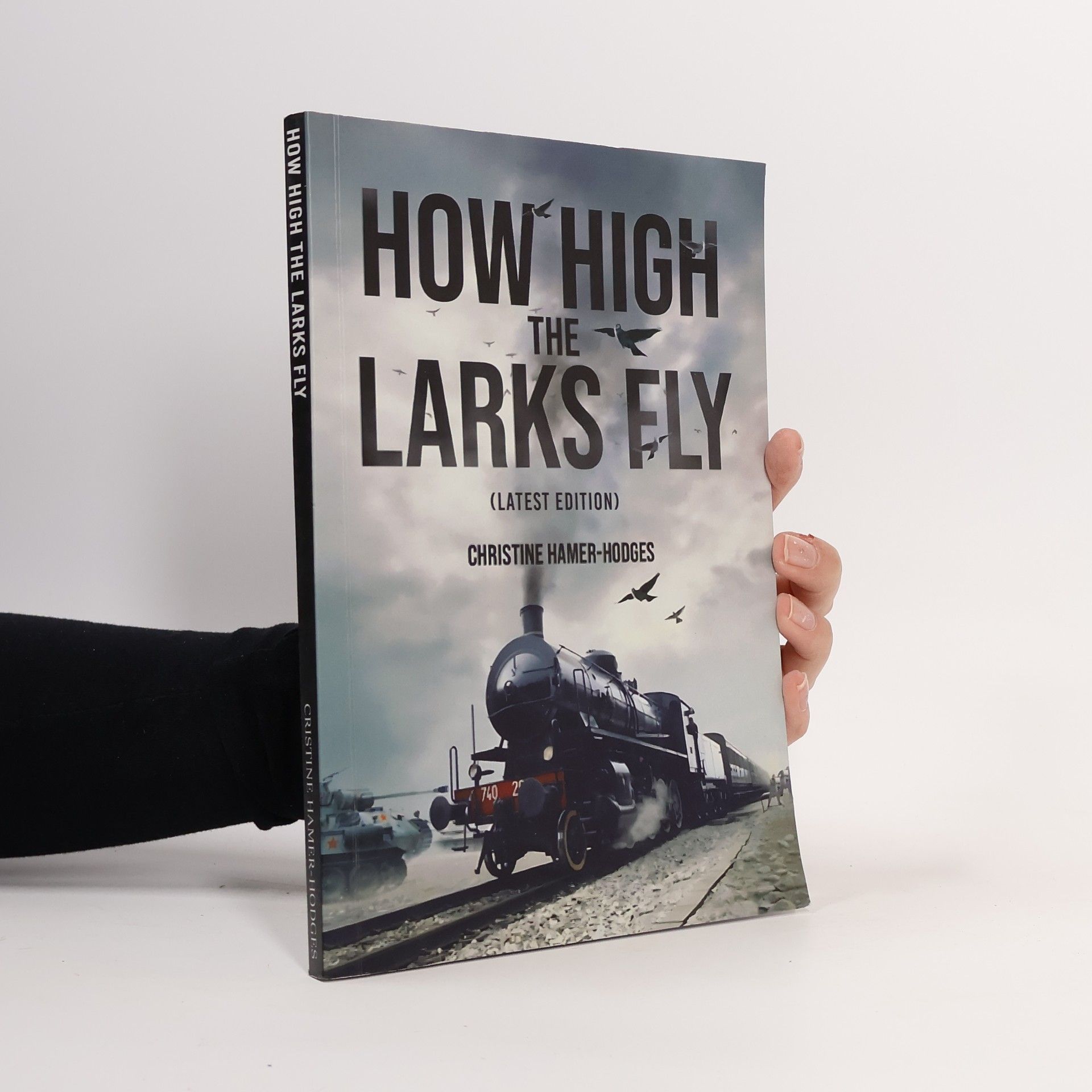 Christine Hamer-Hodges How High the Larks Fly
