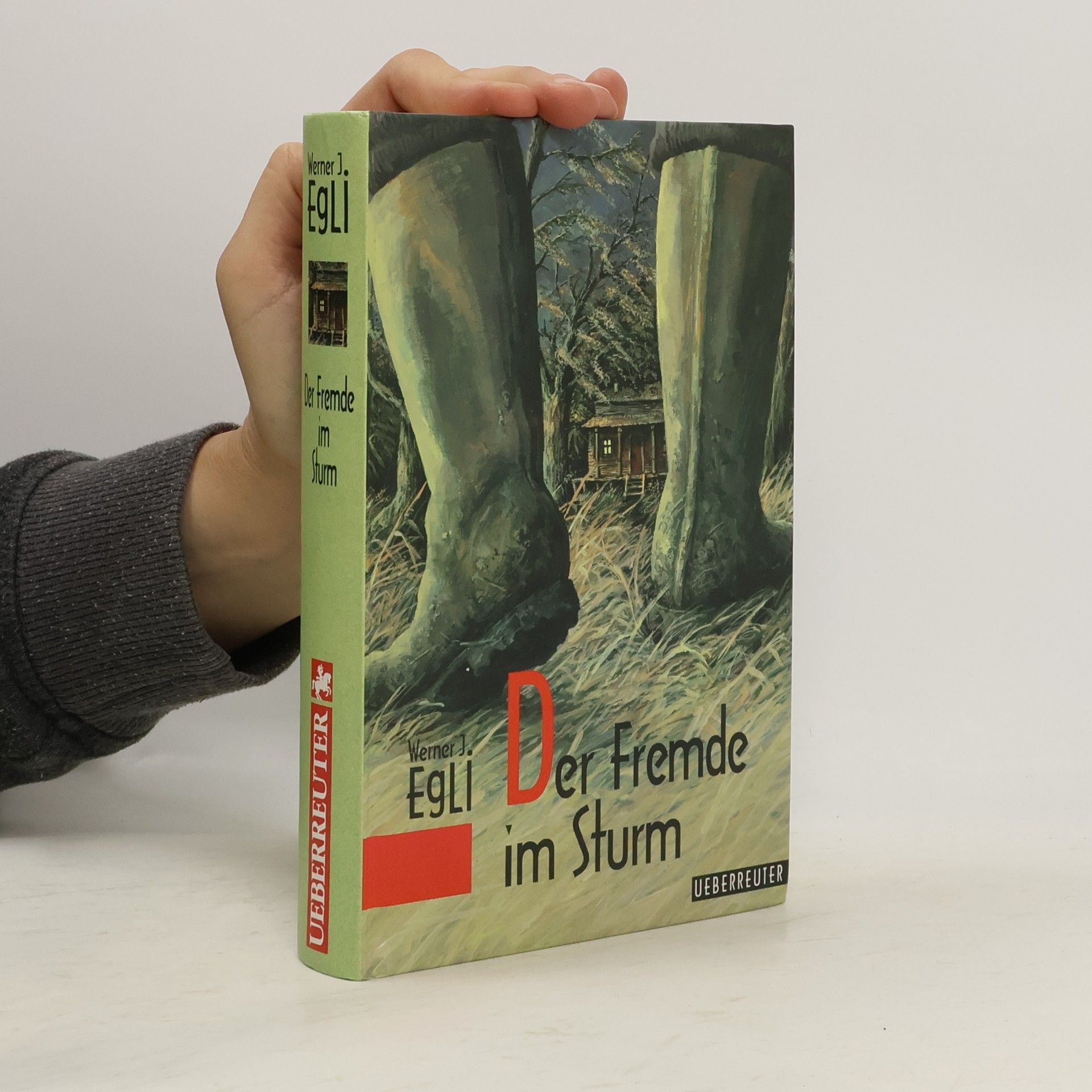 Werner J. Egli Der Fremde im Sturm