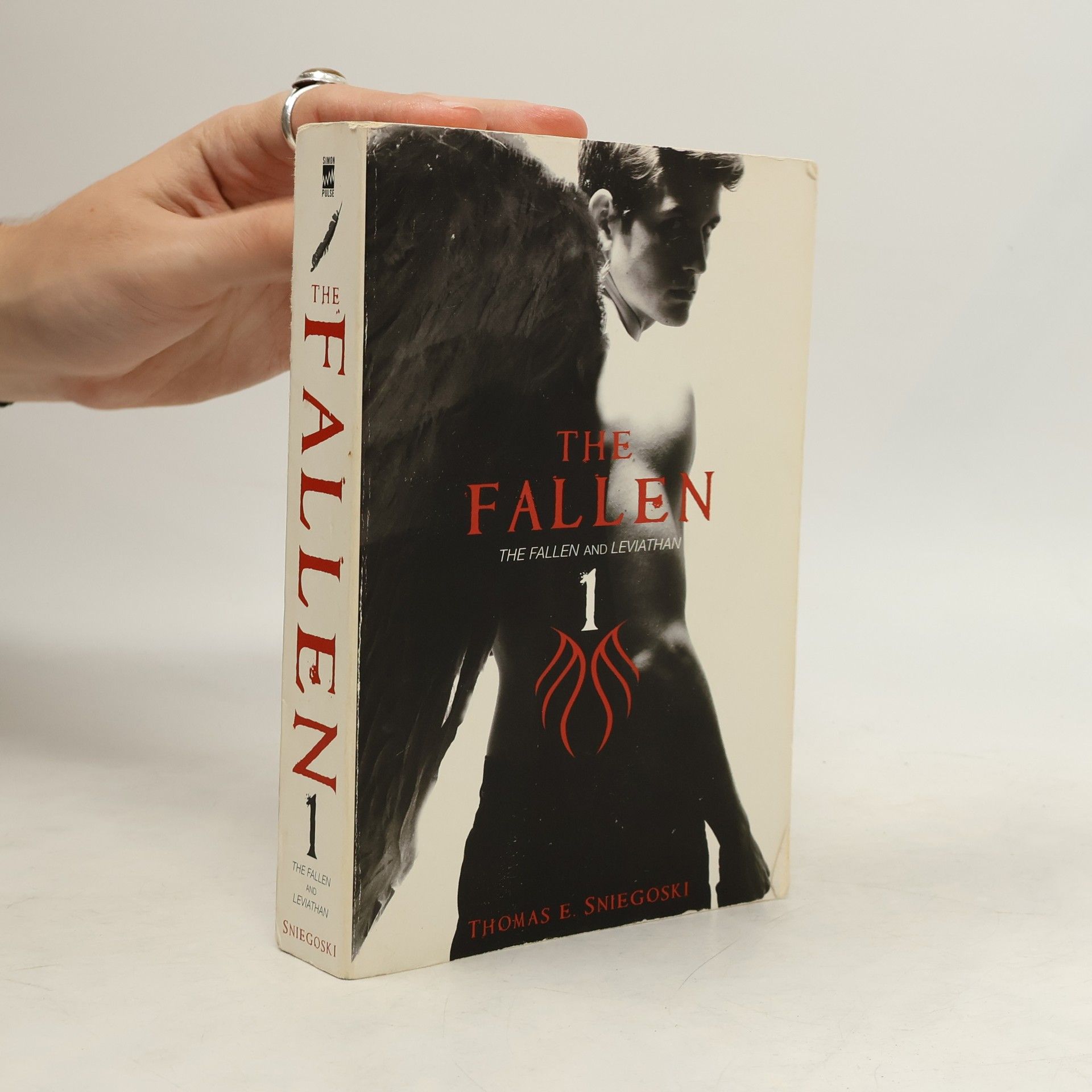 The Fallen 1, 1: The Fallen and Leviathan