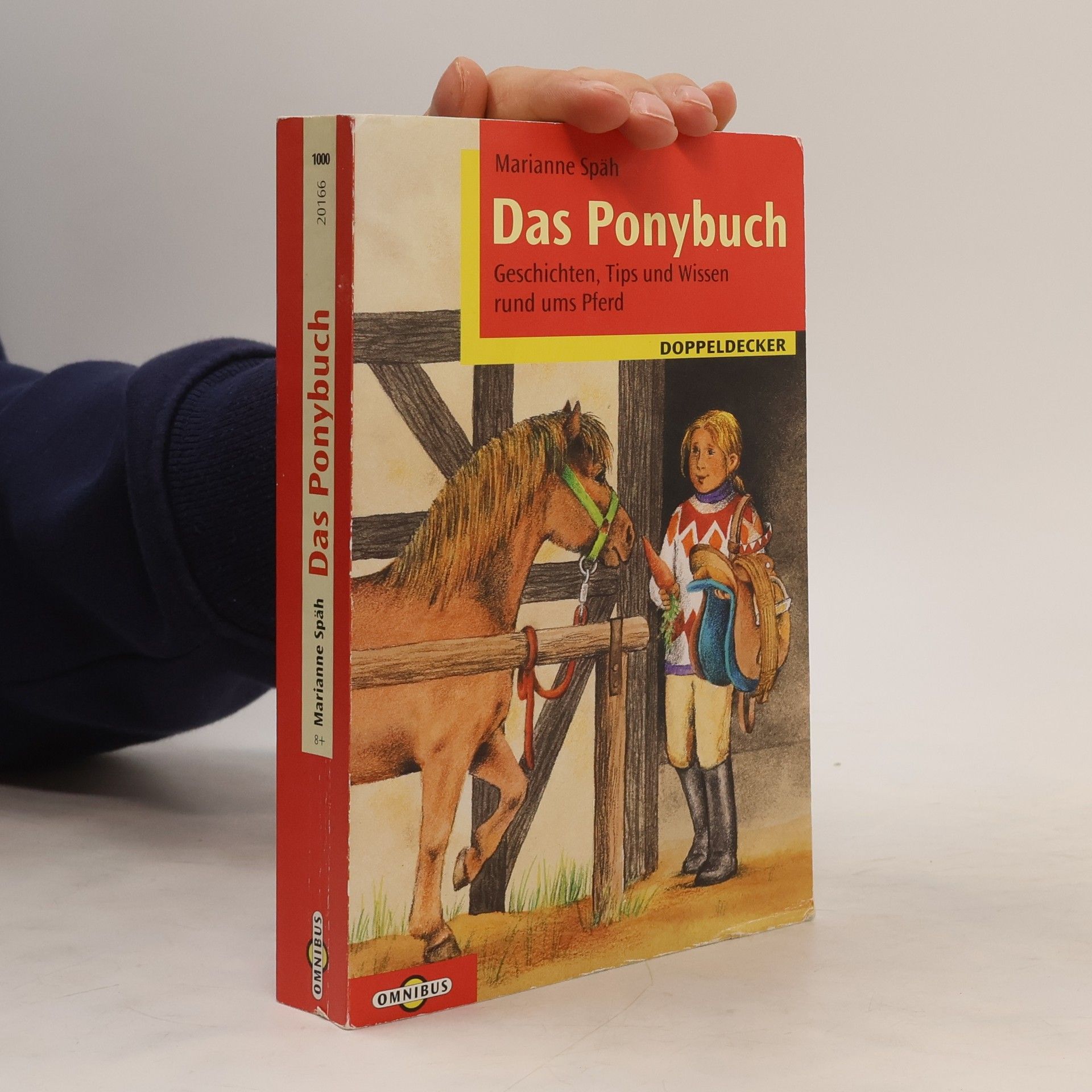Das Ponybuch