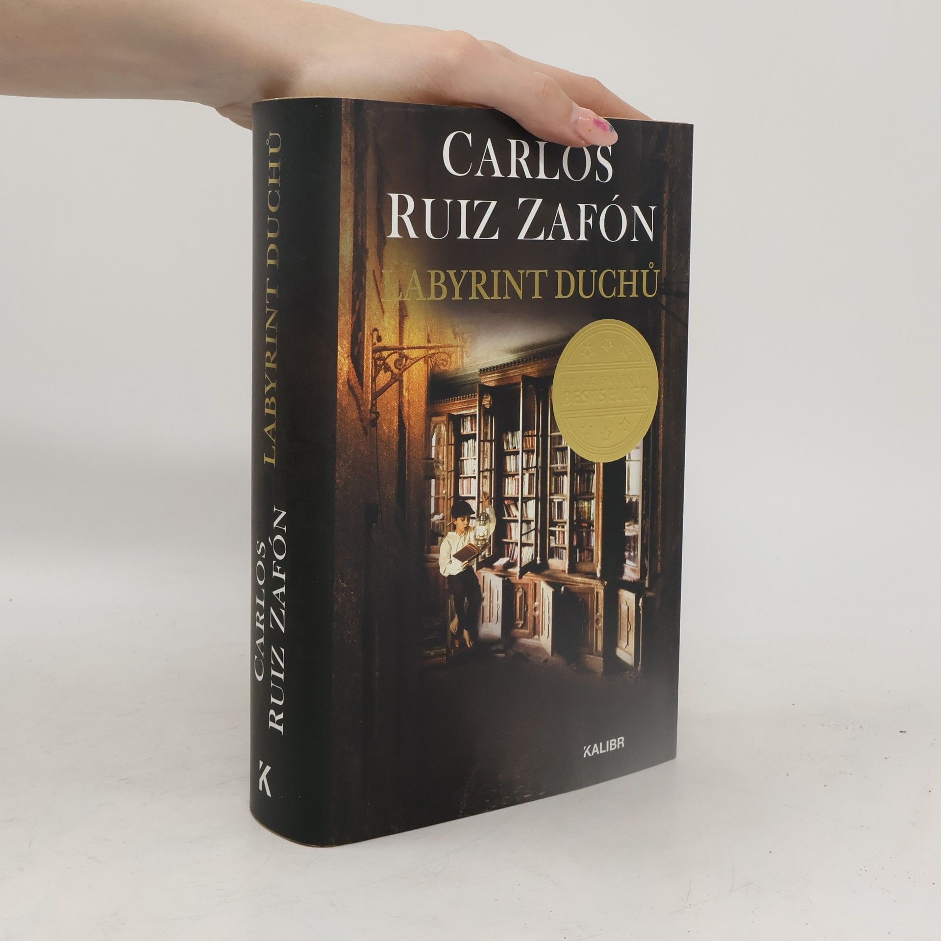 Carlos Ruis Zafon Labyrint duchů