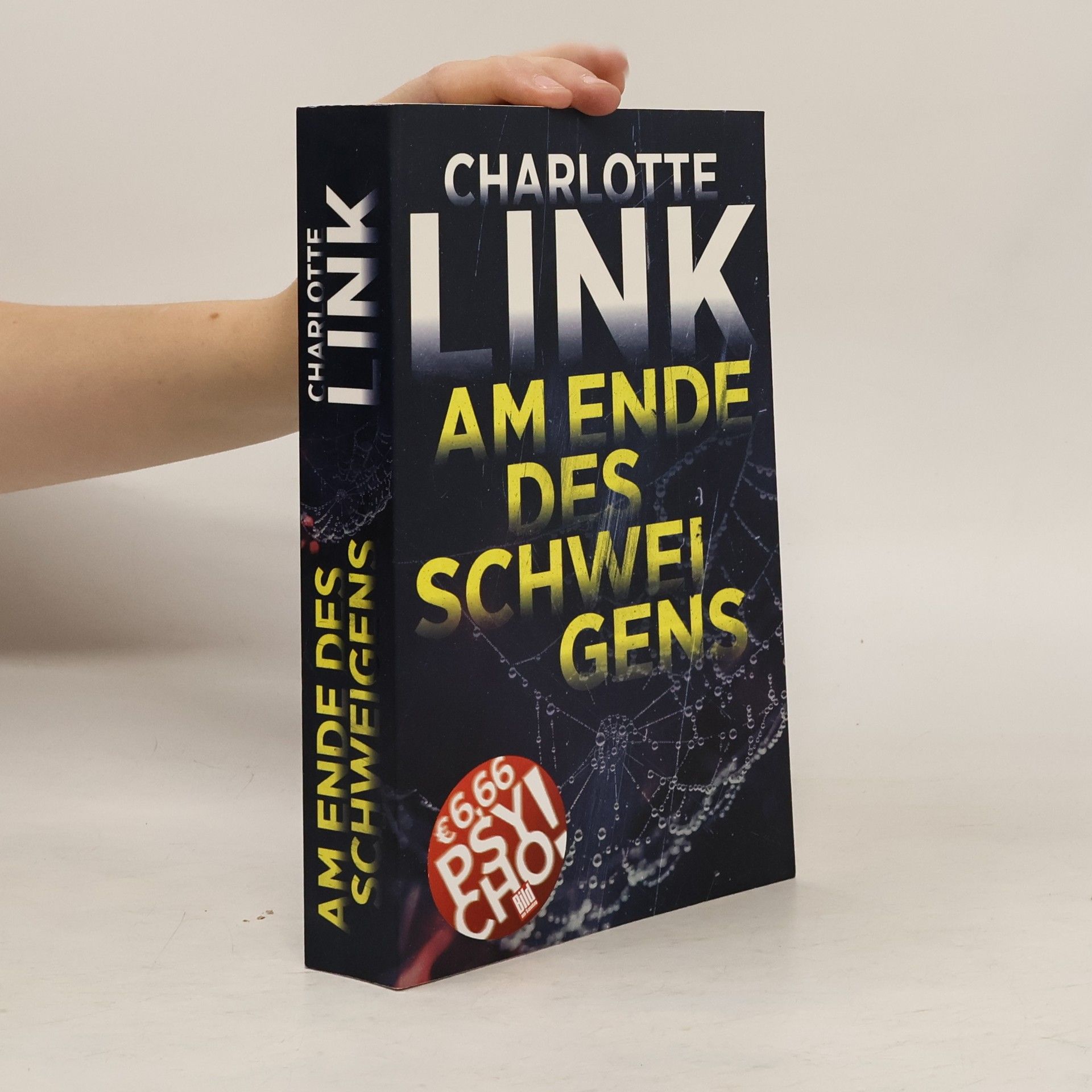 Charlotte Link Am Ende des Schweigens