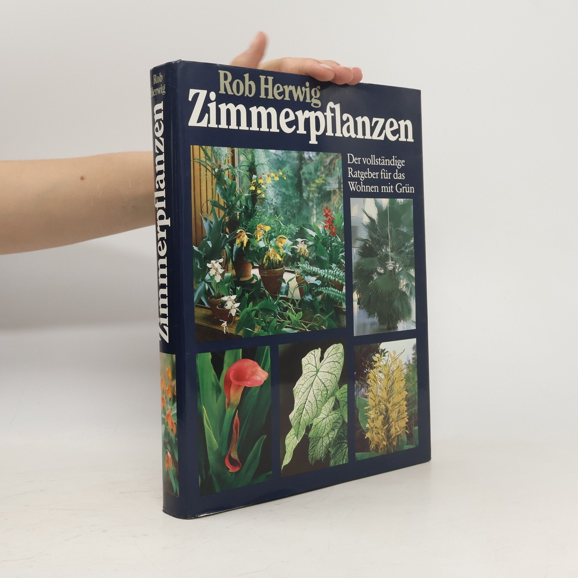 Rob Hewig Zimmerpflanzen