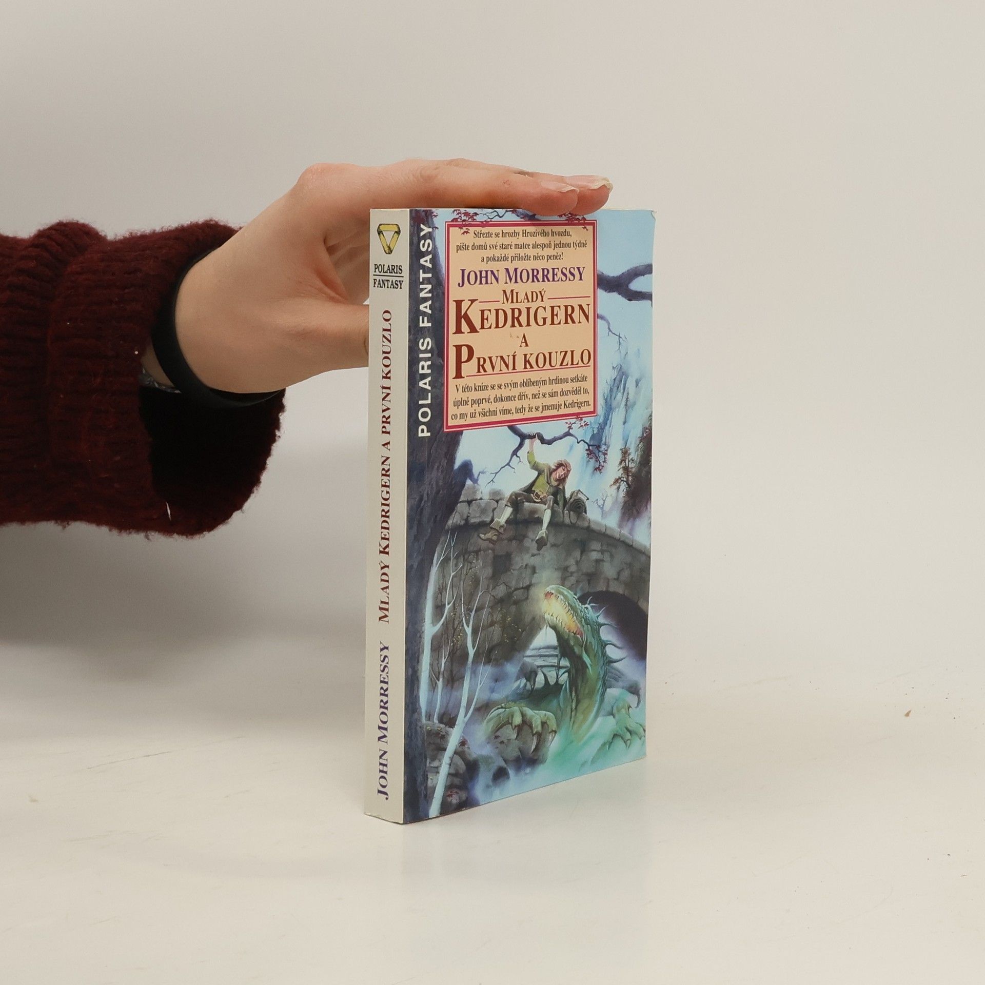 Mladý Kedrigern a první kouzlo