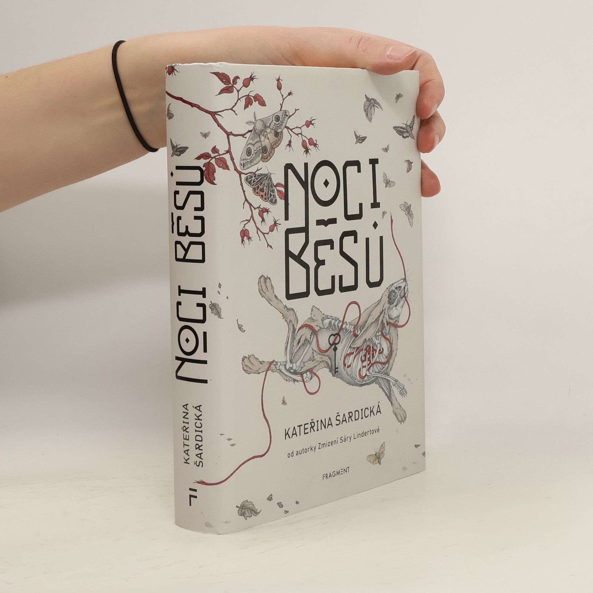 Kateřina Šardická Noci běsů