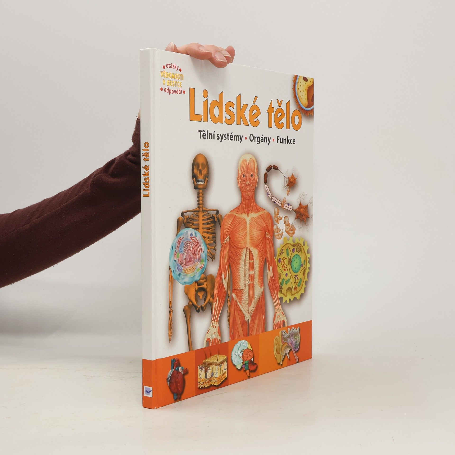Autorenkollektiv Lidské tělo : orgány, tělní systémy, funkce