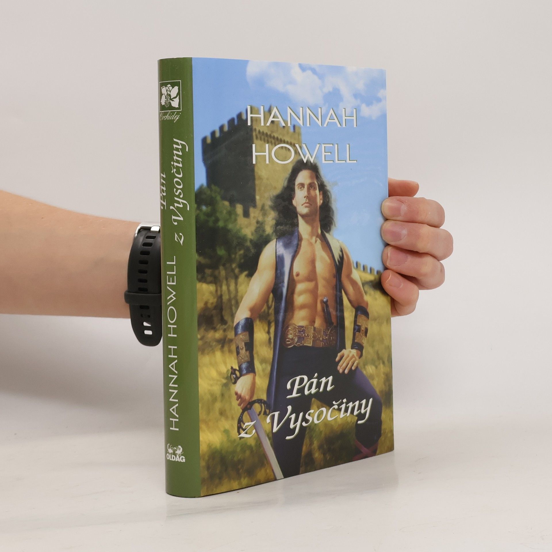 Hannah Howell Pán z Vysočiny