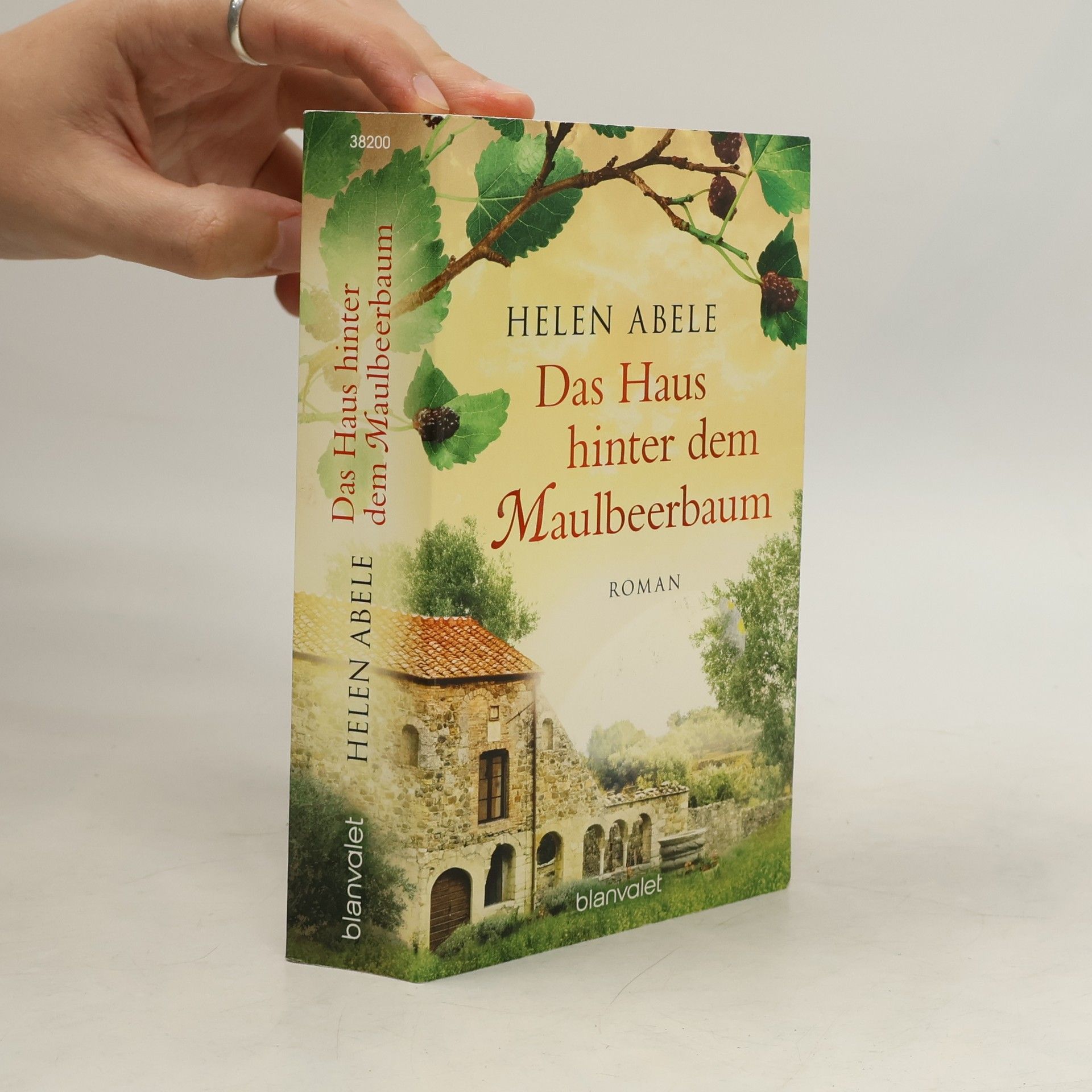 Helen Abele Das Haus hinter dem Maulbeerbaum