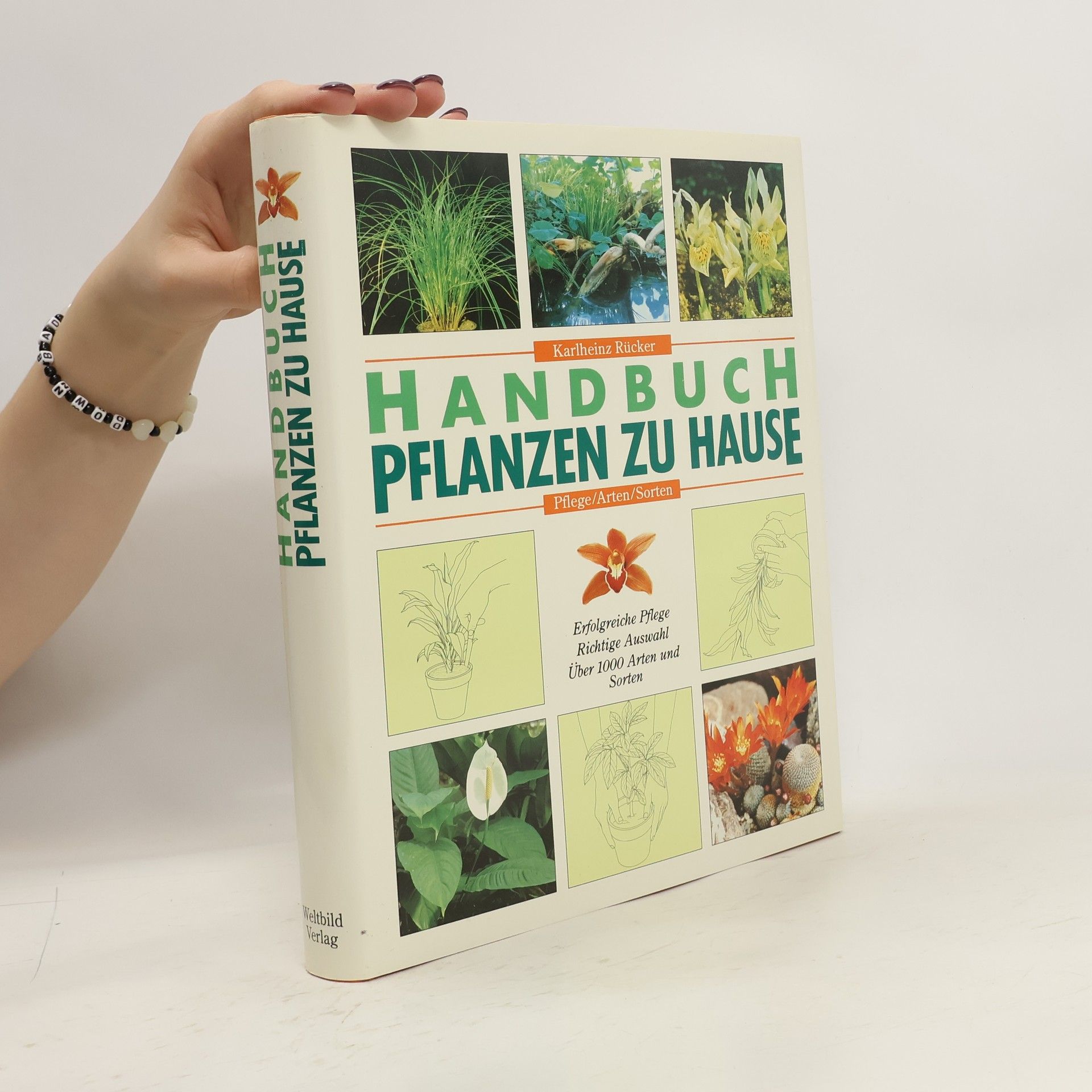 Karlheinz Rücker Handbuch Pflanzen zu Hause