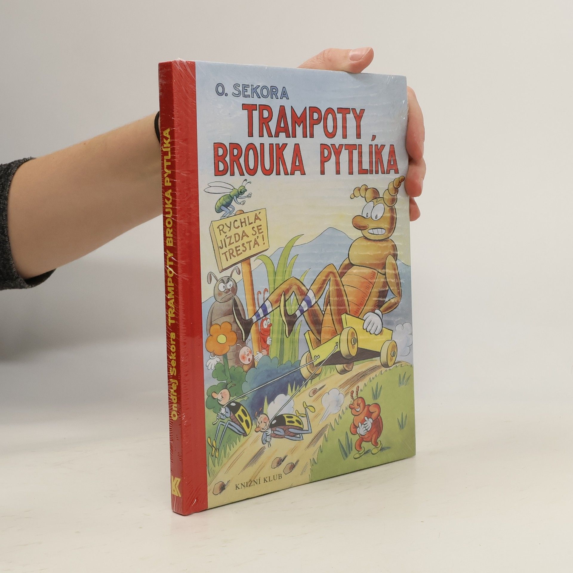 Trampoty brouka Pytlíka