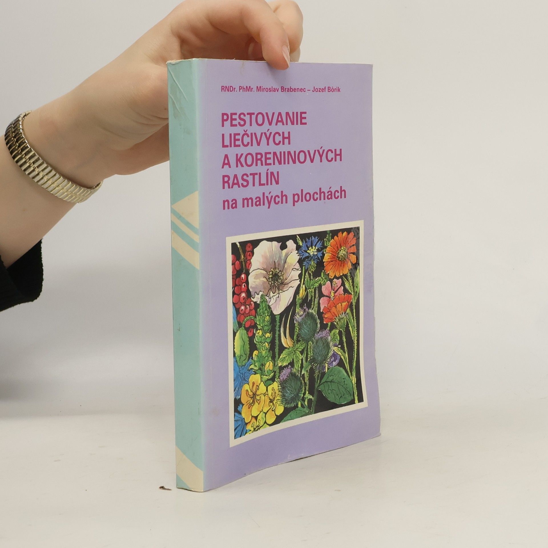 Brabenec Miroslav Pestovanie liečivých a koreninových rastlín na malých plochách