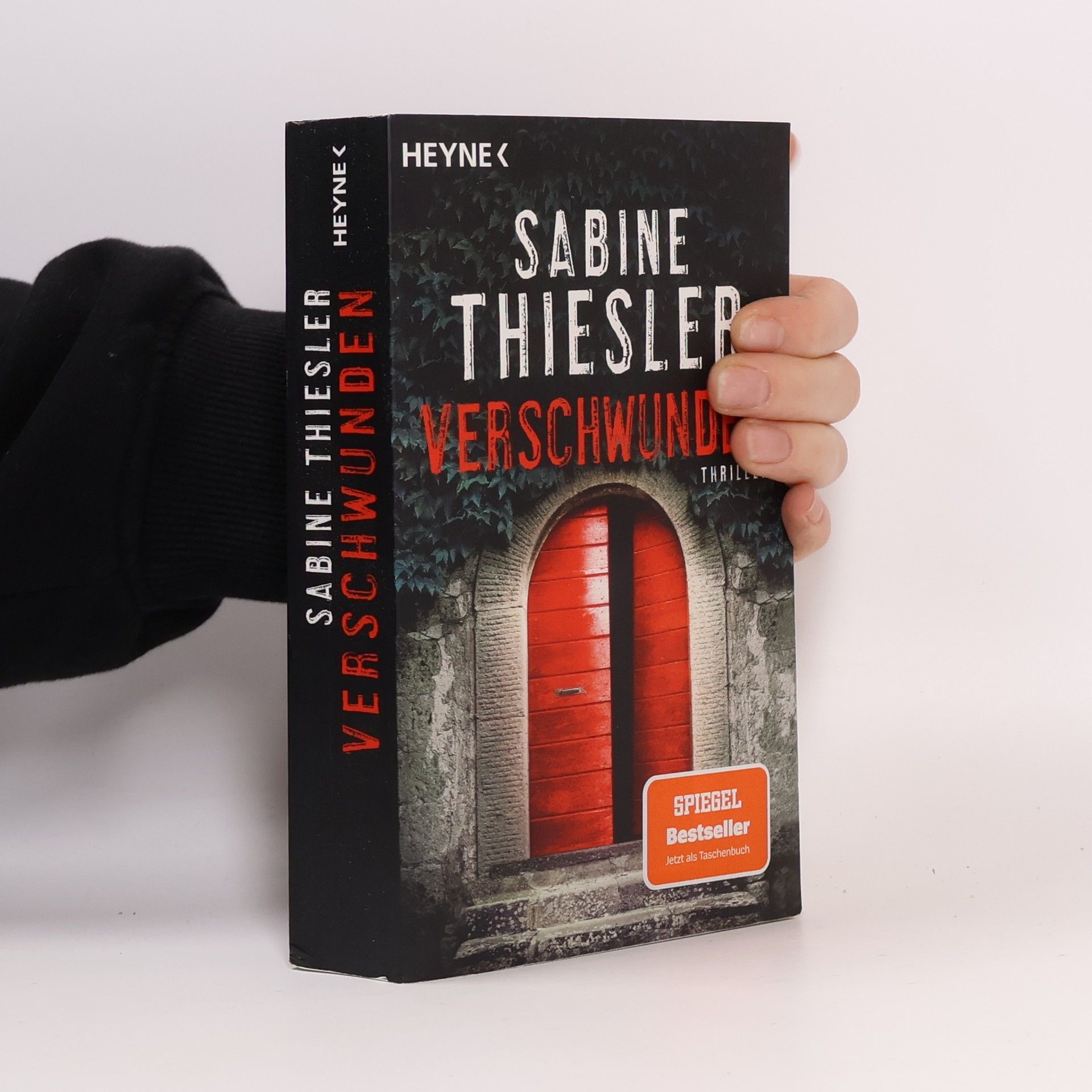 Sabine Thiesler Verschwunden