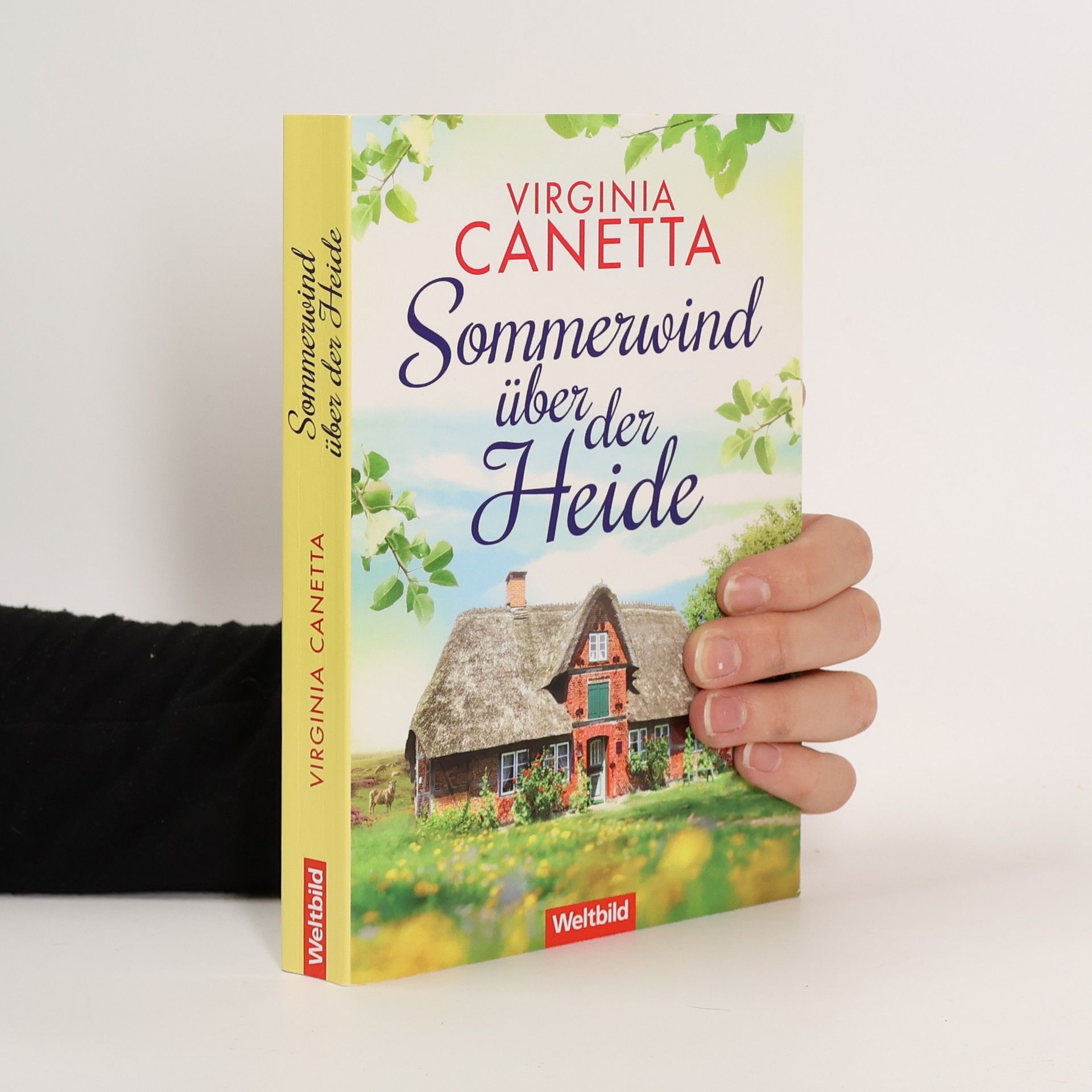 Sommerwind über der Heide