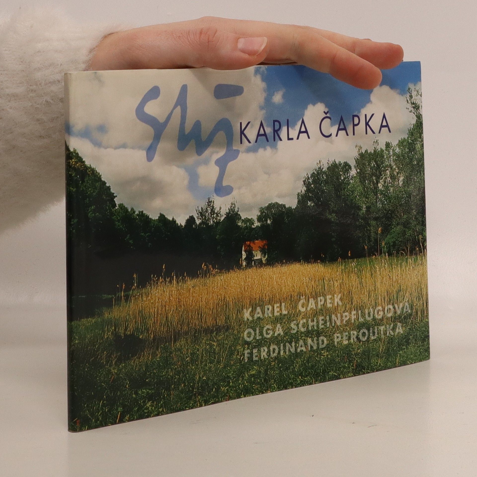 Kolektiv autorů Strž Karla Čapka. průvodce expozicemi Památníku Karla Čapka
