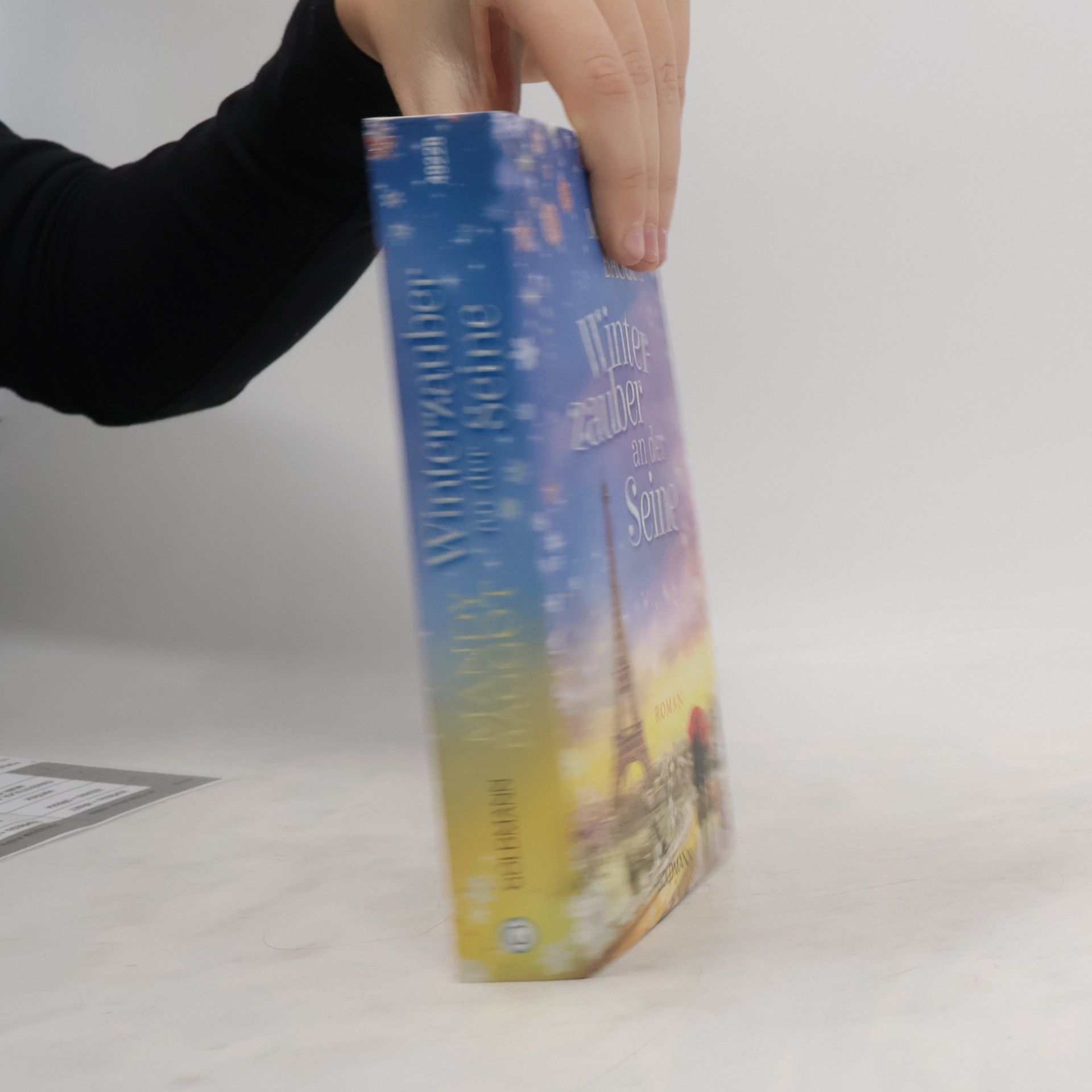 Mandy Baggot Winterzauber an der Seine