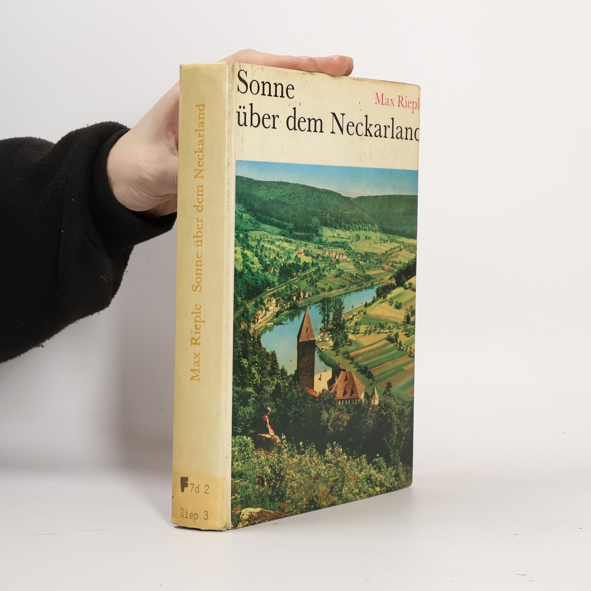 Max Rieple Sonne über dem Neckarland
