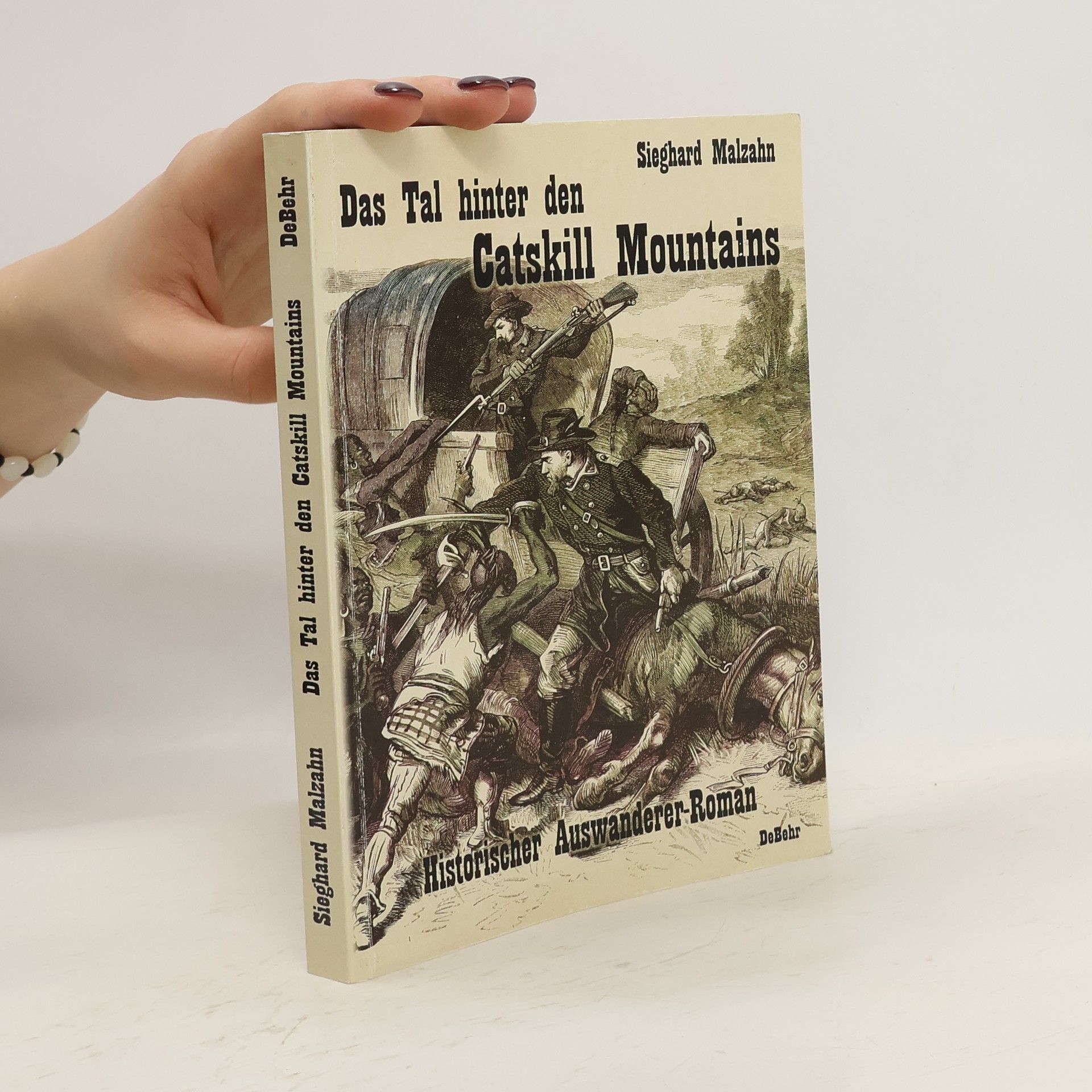 Sieghard Malzahn Das Tal hinter den Catskill Mountains