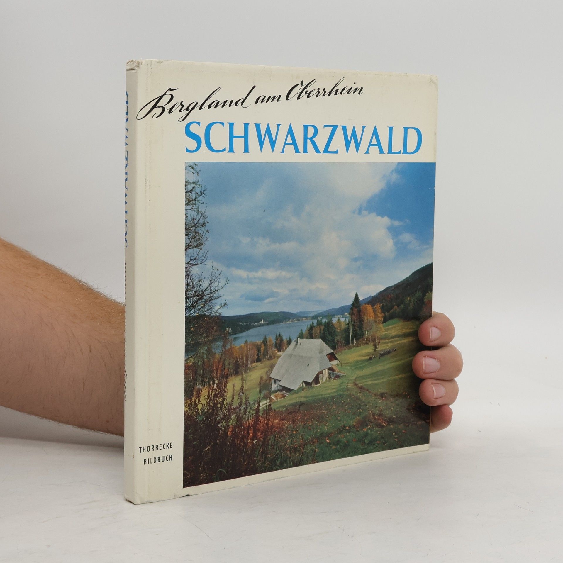 Autorenkollektiv Bergland am Oberrhein. Schwarzwald