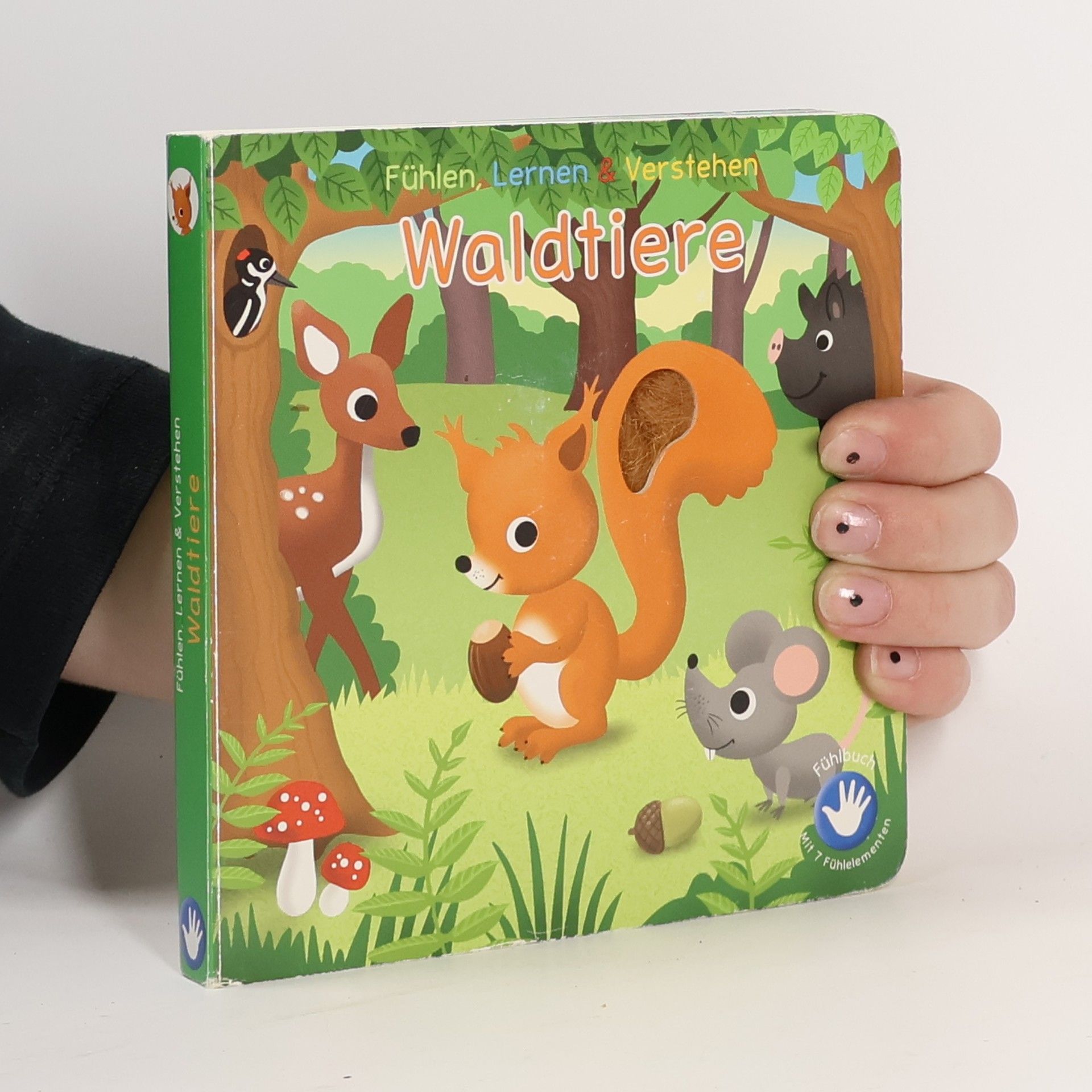 Autorenkollektiv Waldtiere