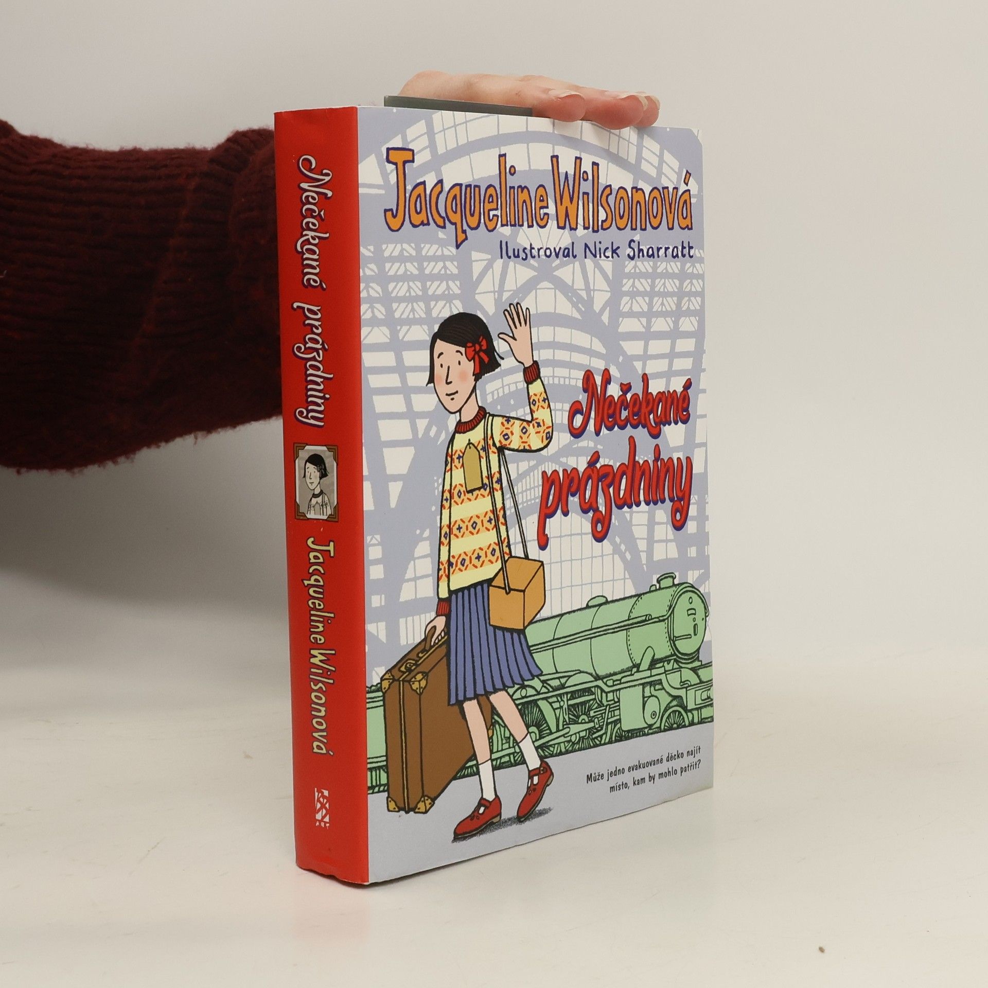 Jacqueline Wilson Nečekané prázdniny