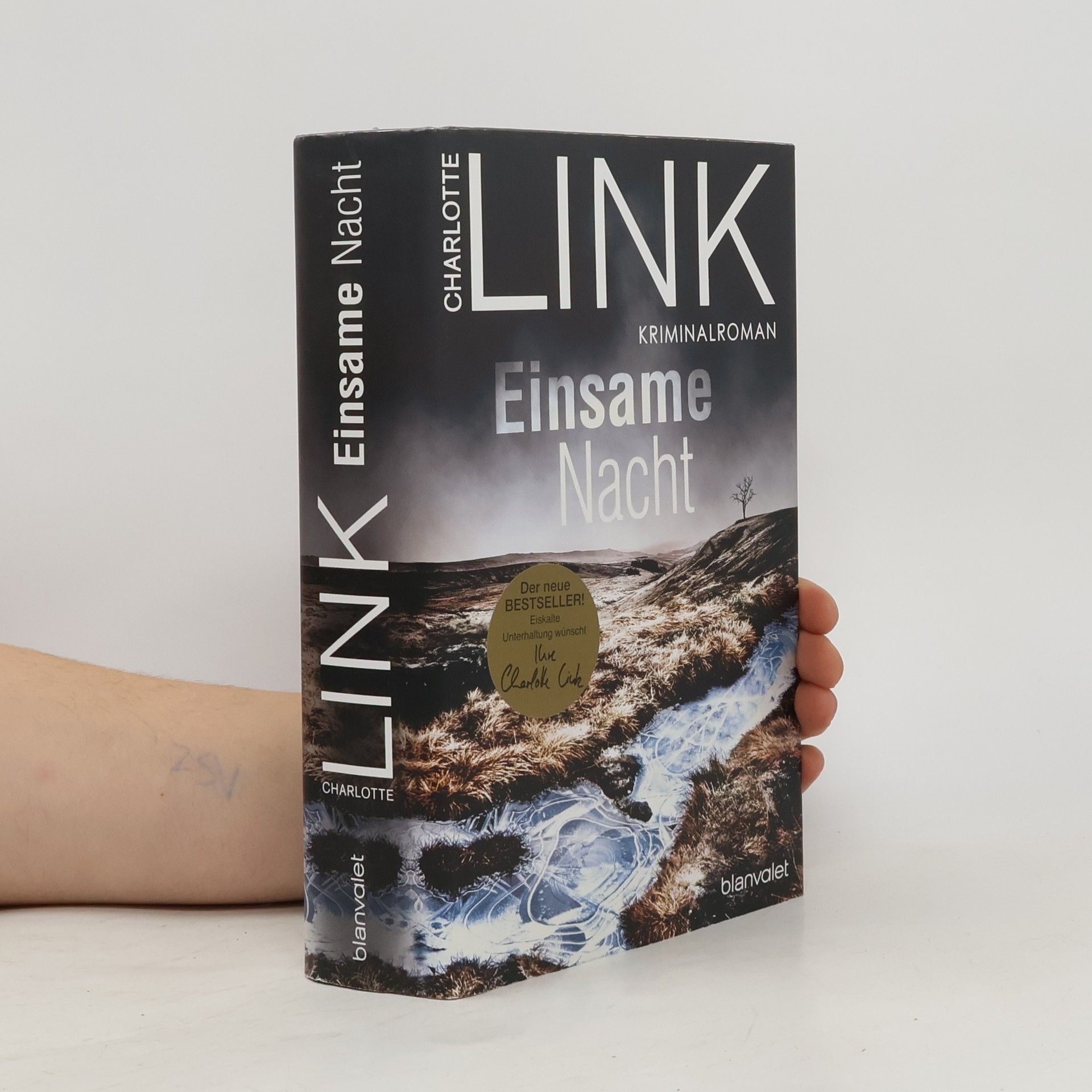 Charlotte Link Einsame Nacht