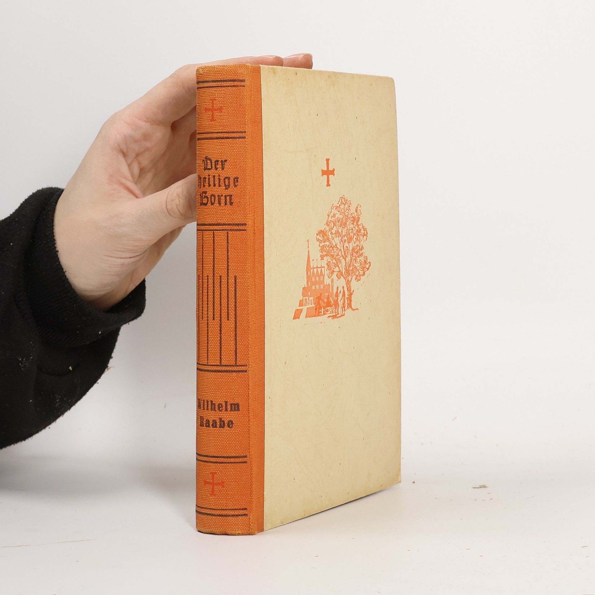 Wilhelm Raabe Der heilige Born