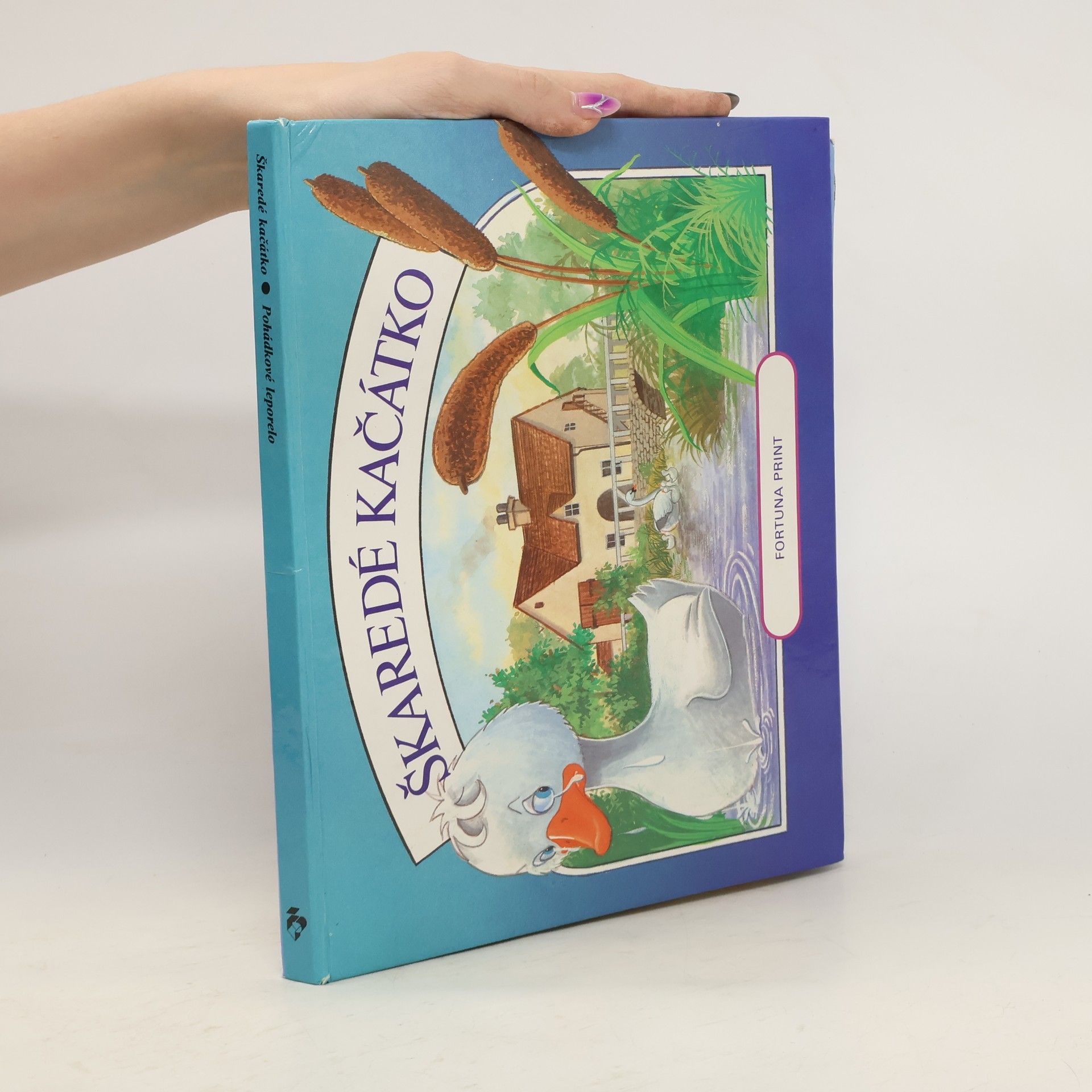 Kolektiv autorů Škaredé káčátko (pop-up leporelo)