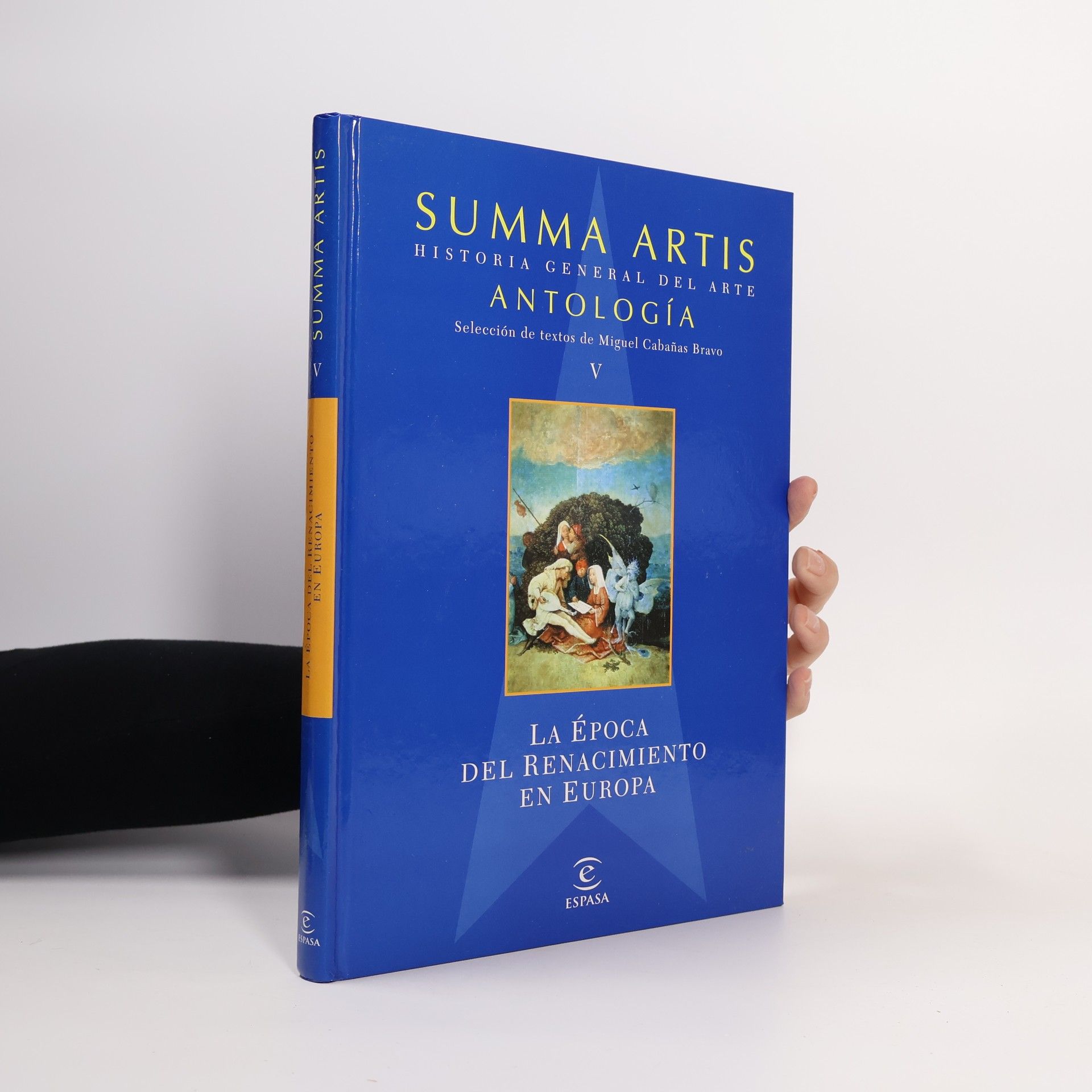 AA.VV. Summa artis historia general del arte antologia V.