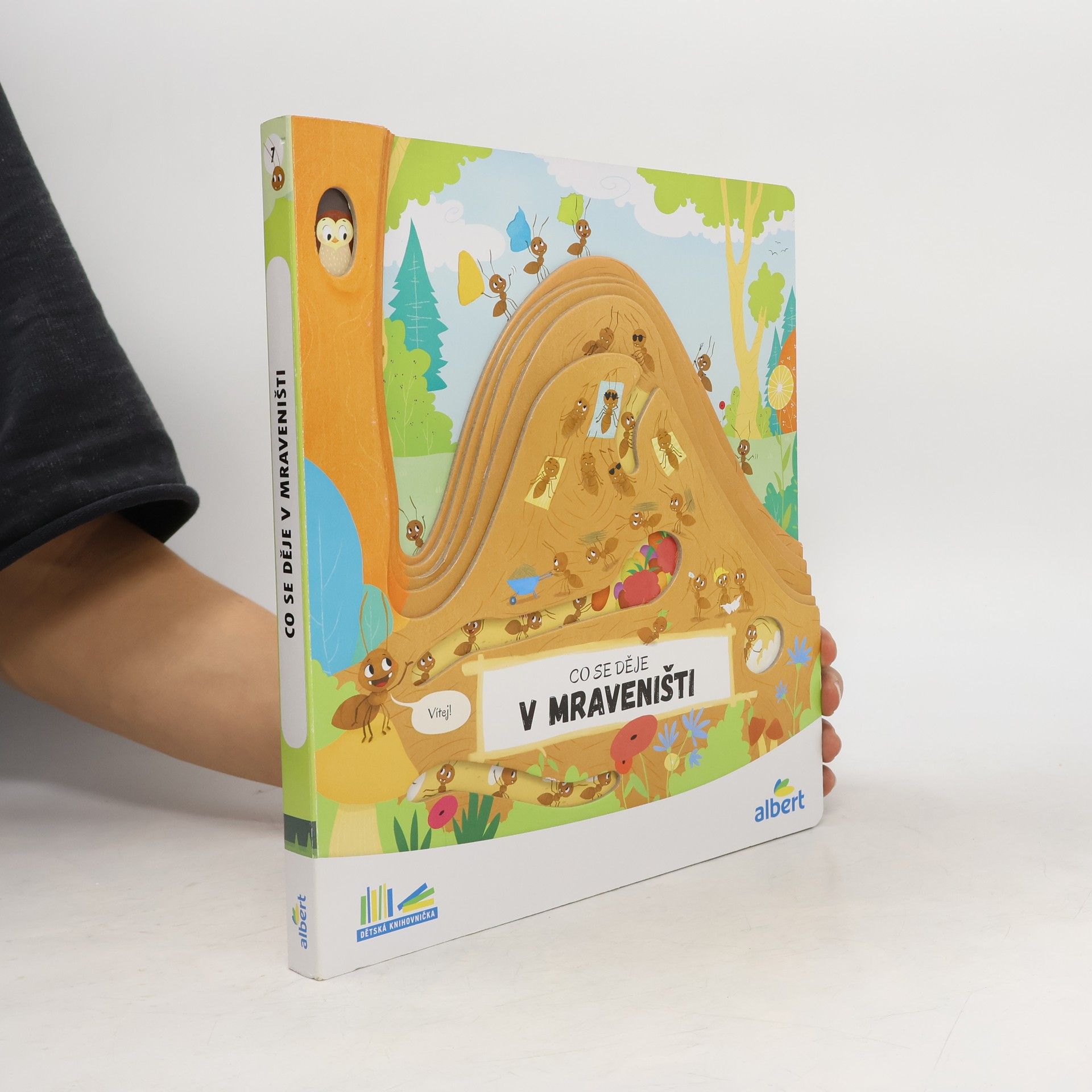 Autorenkollektiv Co se děje v mraveništi