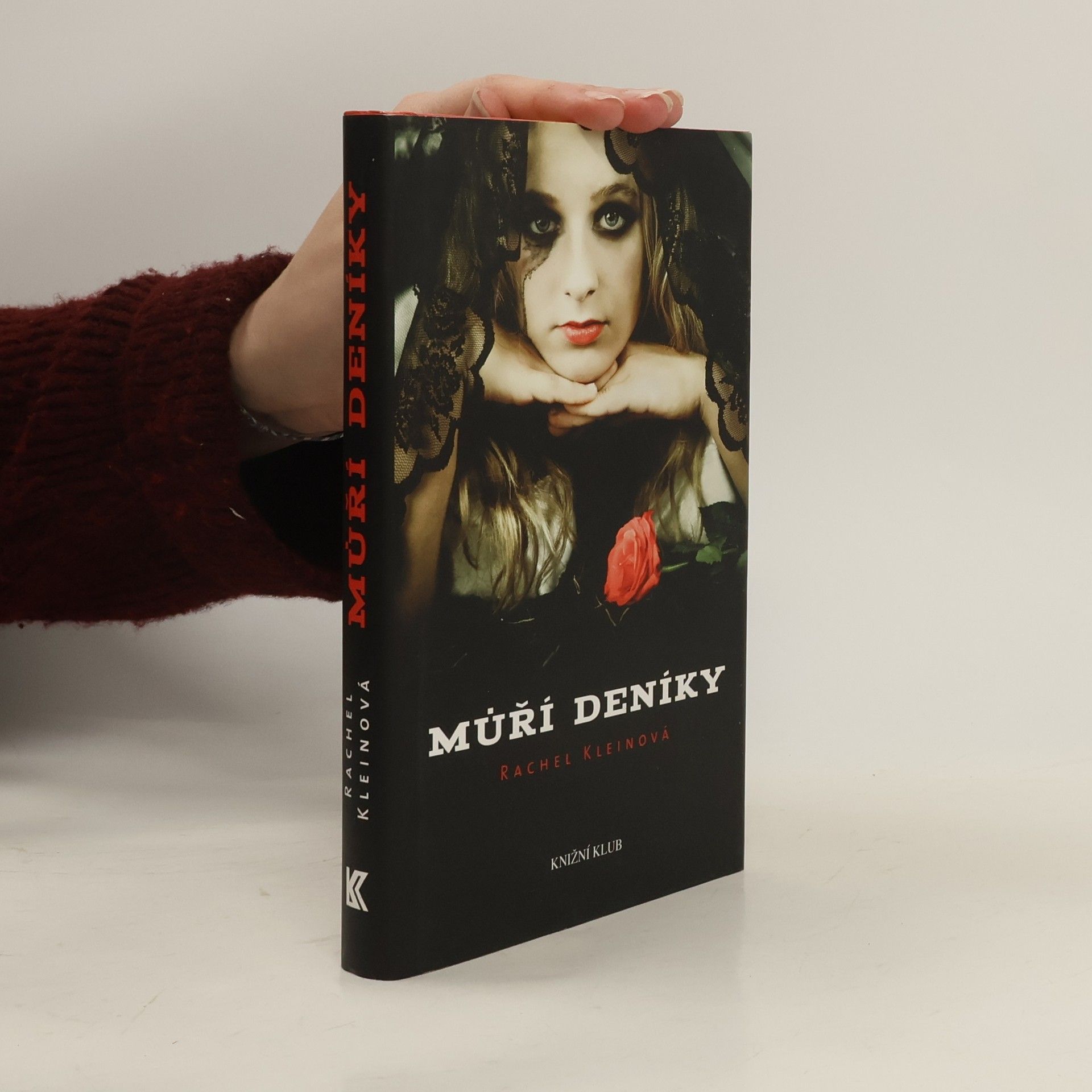 Rachel Klein Můří deníky