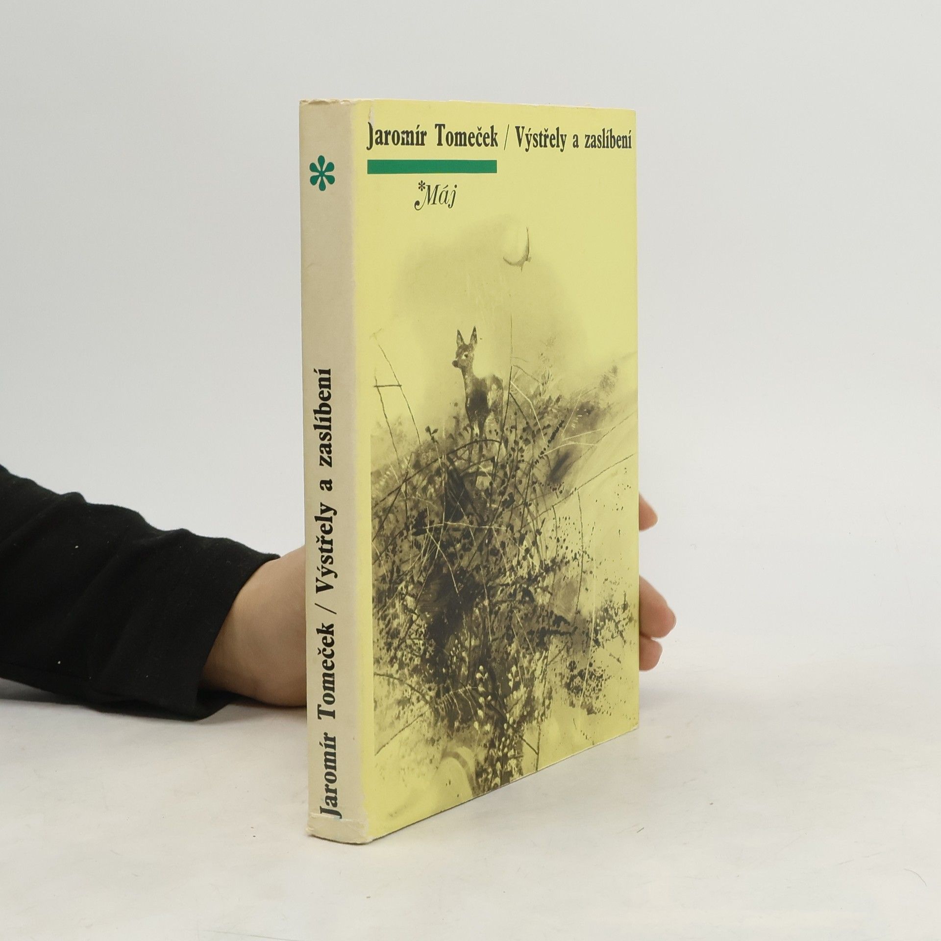 Výstřely a zaslíbení