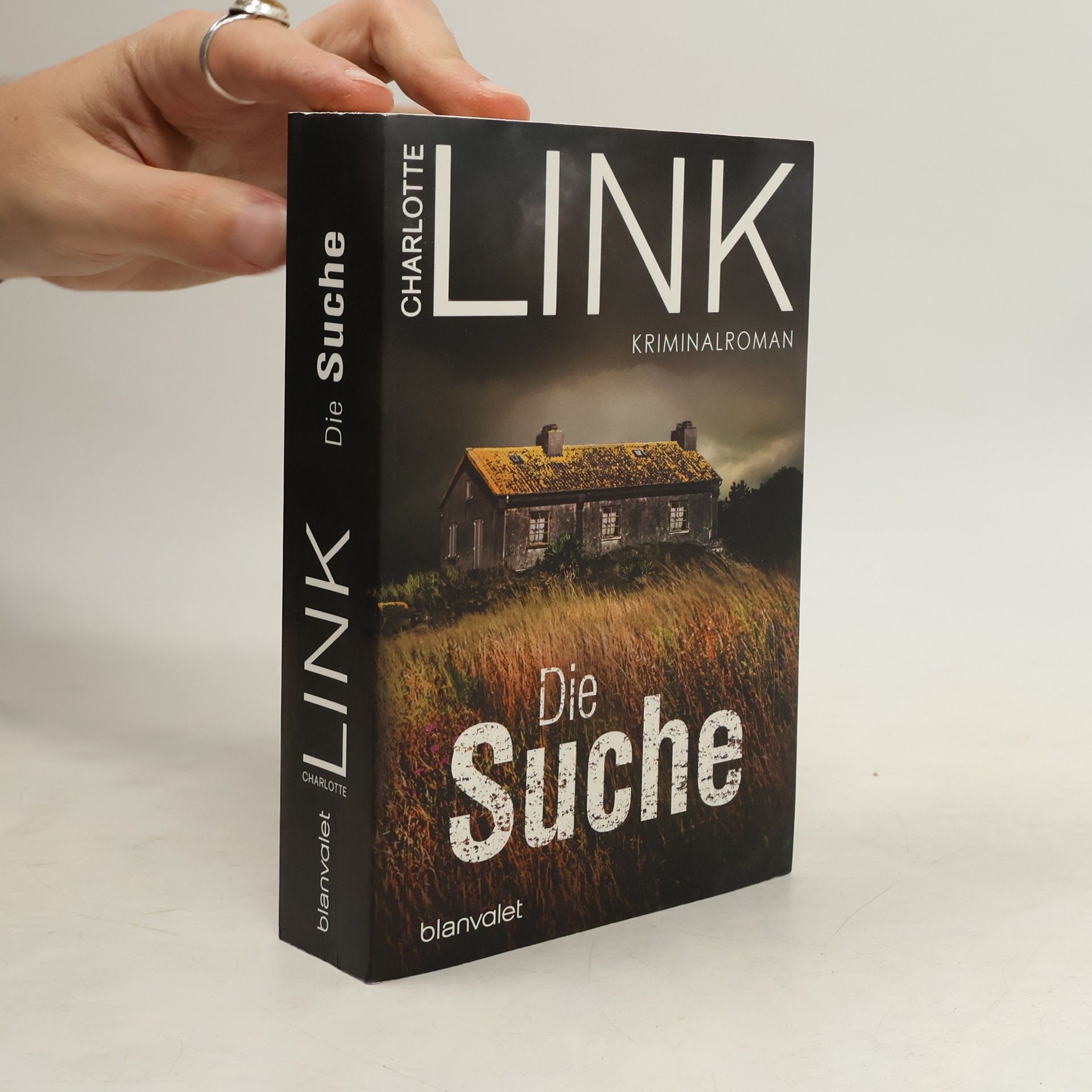 Charlotte Link Die Suche