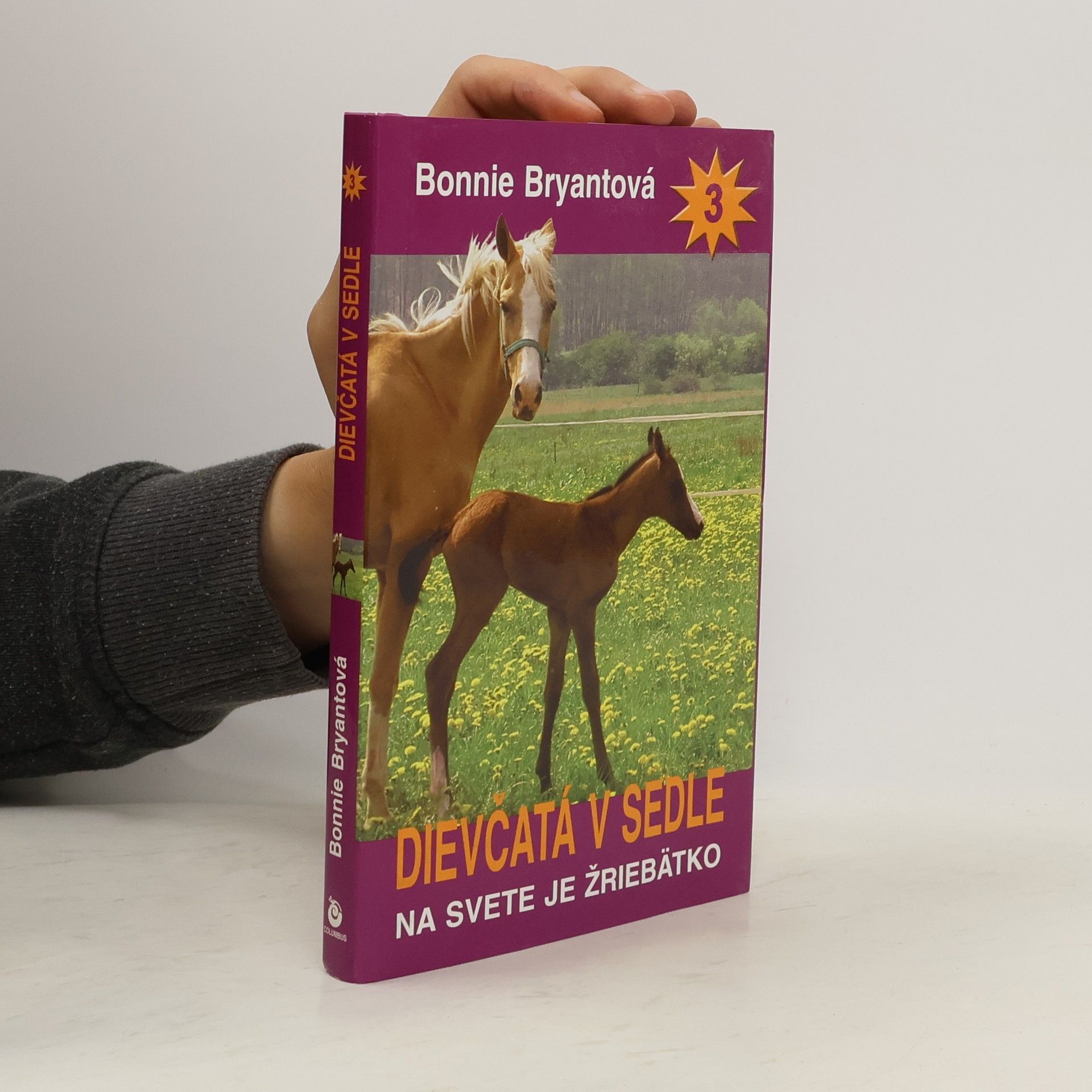 Bonnie Bryant Dievčatá v sedle 3