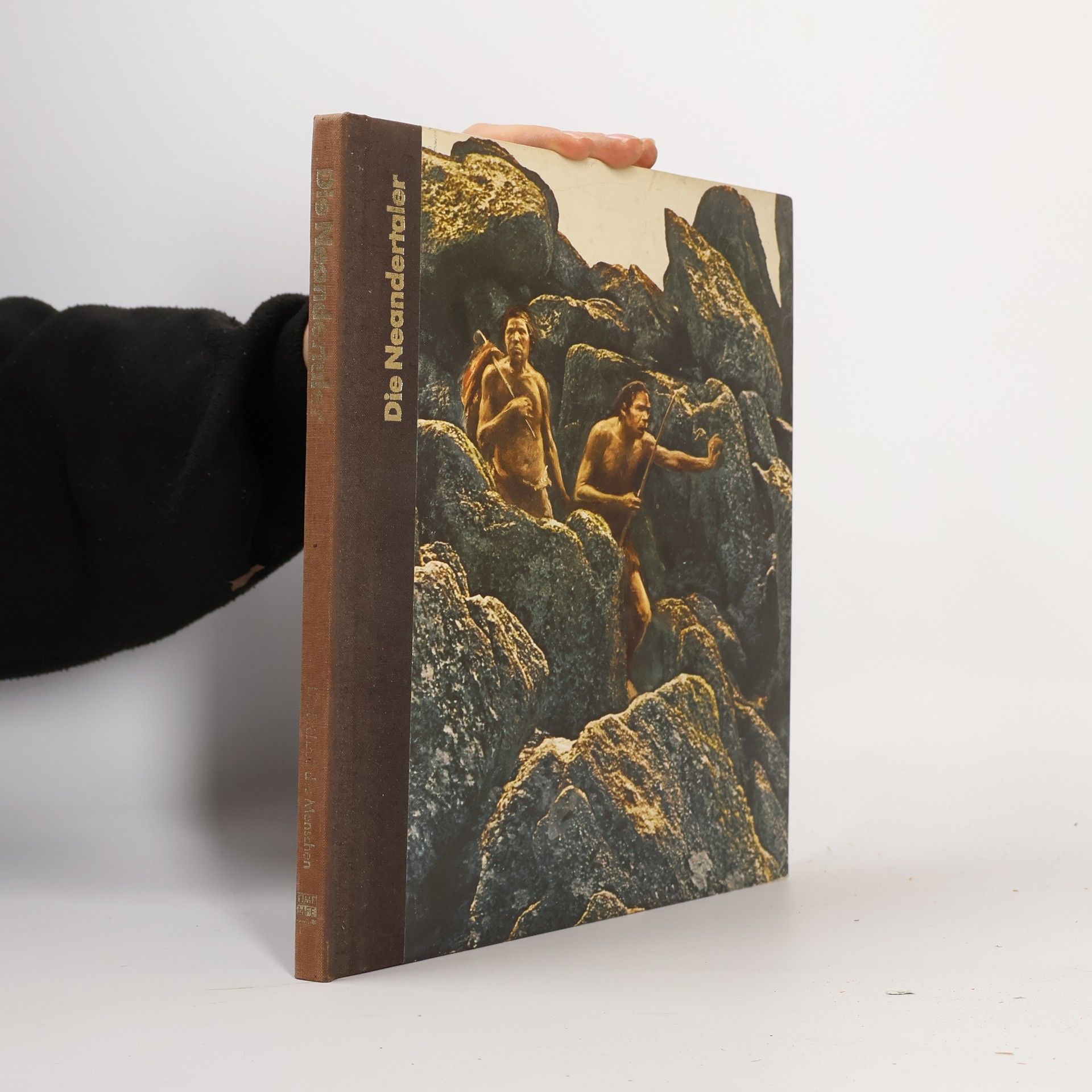 Collectif d'auteurs Der Neandertaler