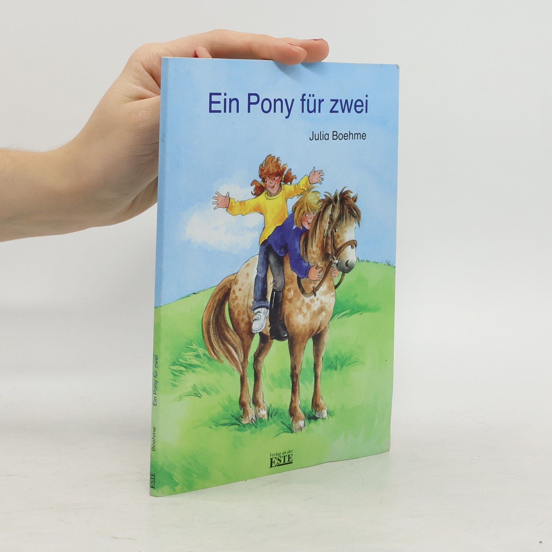 Julia Boehme Ein Pony für zwei