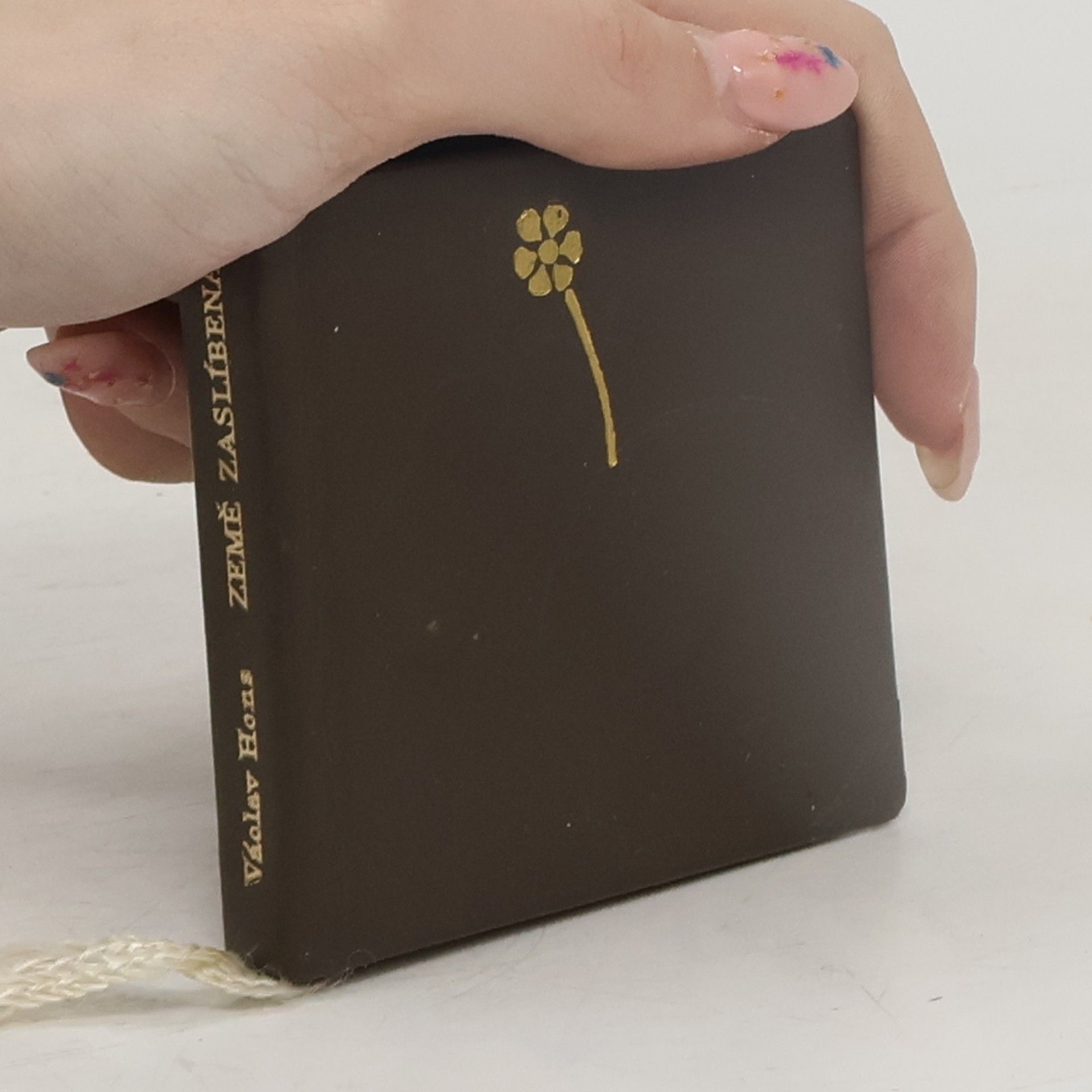 Václav Hons Země zaslíbená