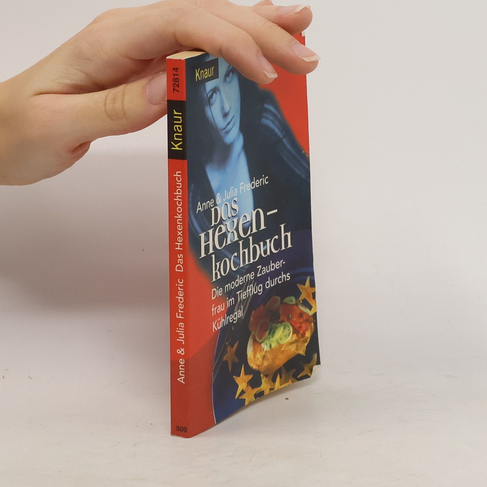 Anne Frederick Das Hexenkochbuch