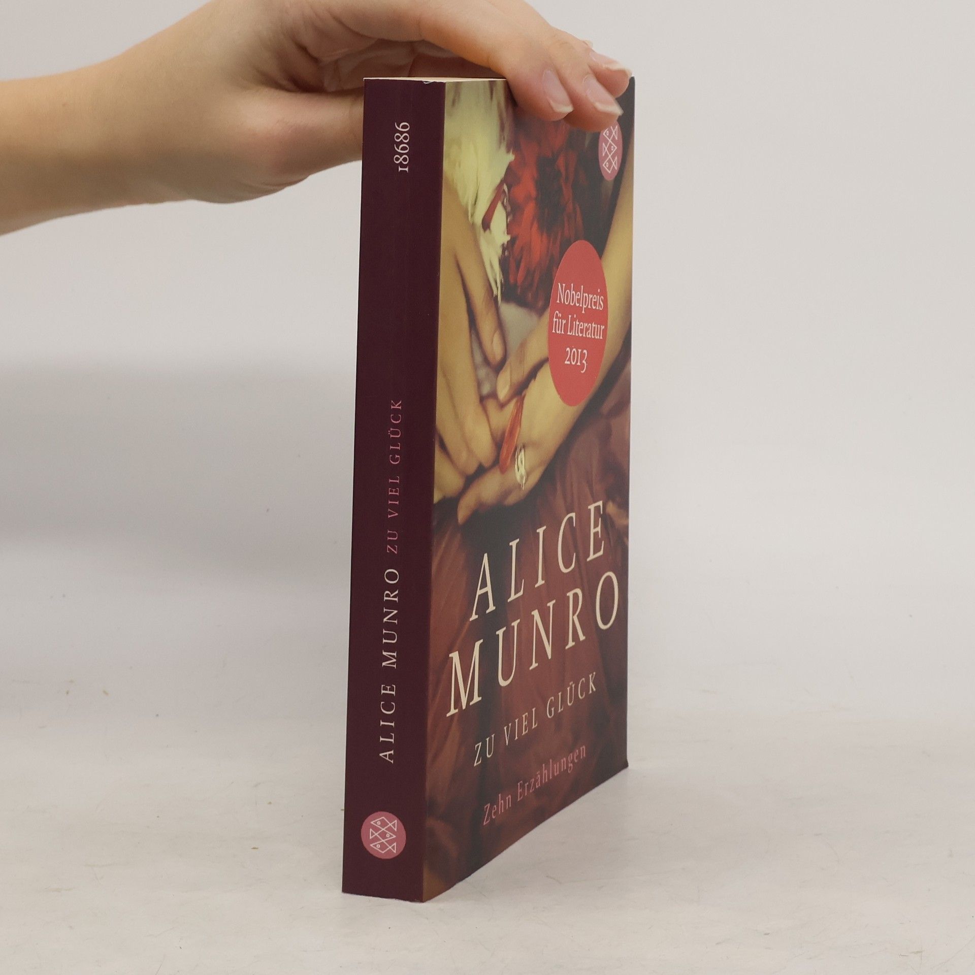 Alice Munro Zu viel Glück. zehn erzählungen