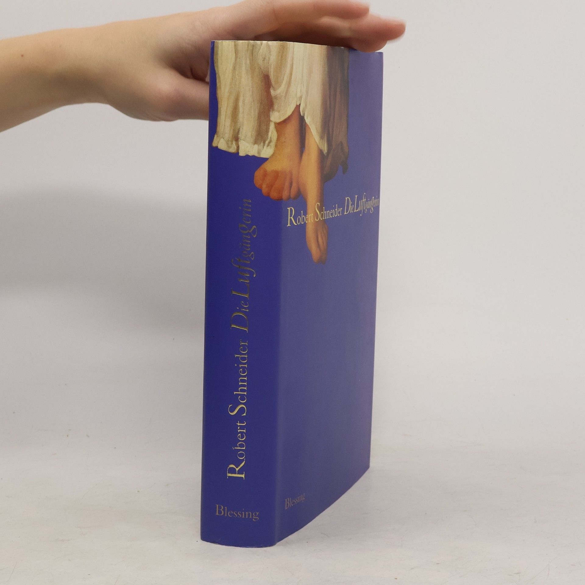 Robert Schneider Die Luftgängerin