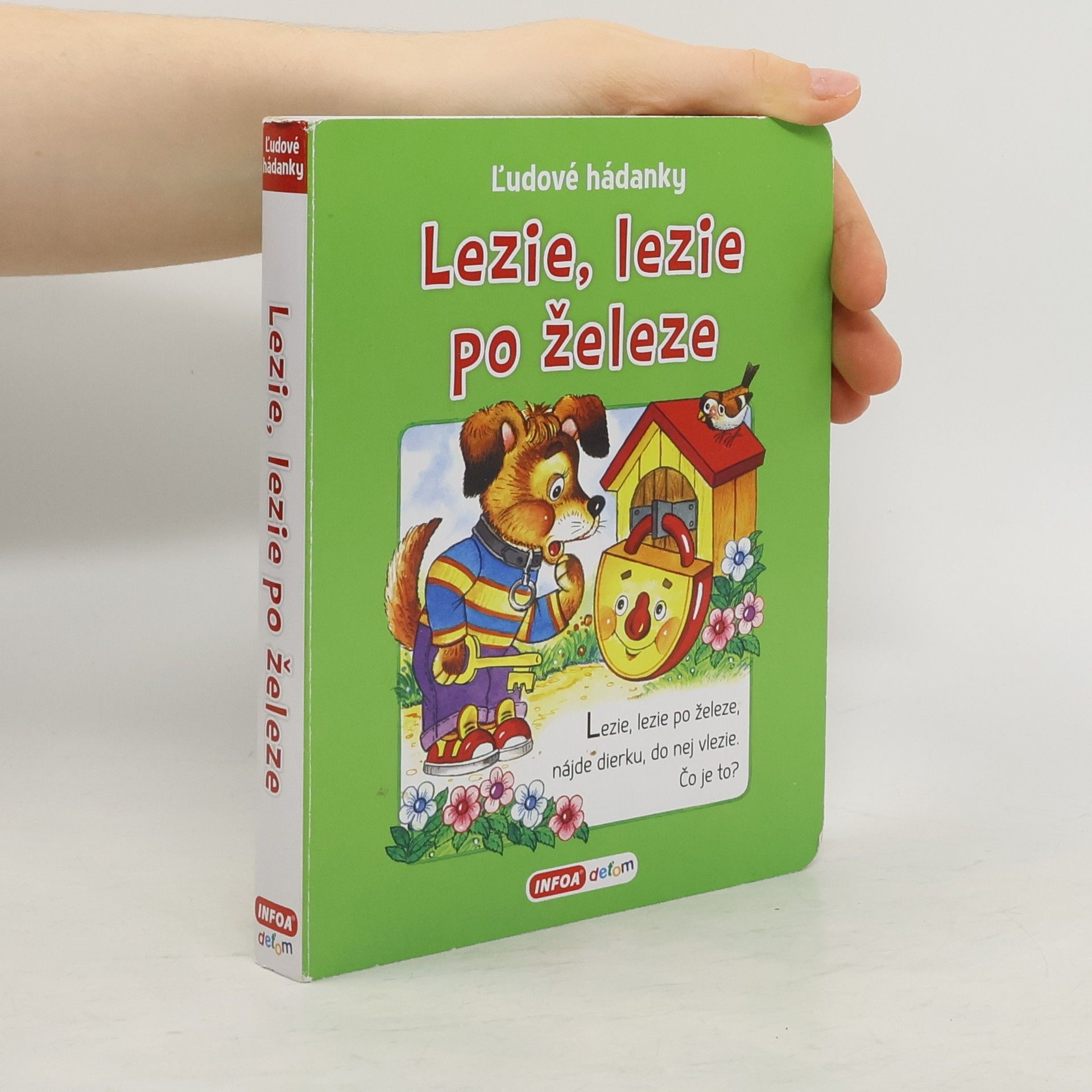 Collectif d'auteurs Lezie, lezie po železe