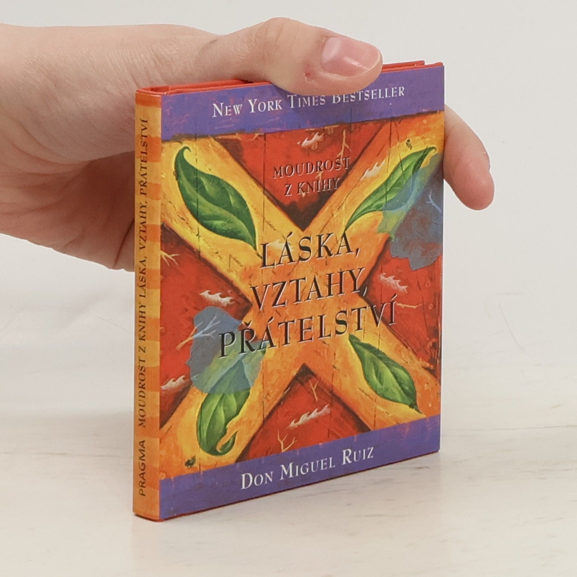 Don Miguel Ruiz Moudrost z knihy Láska, vztahy, přátelství