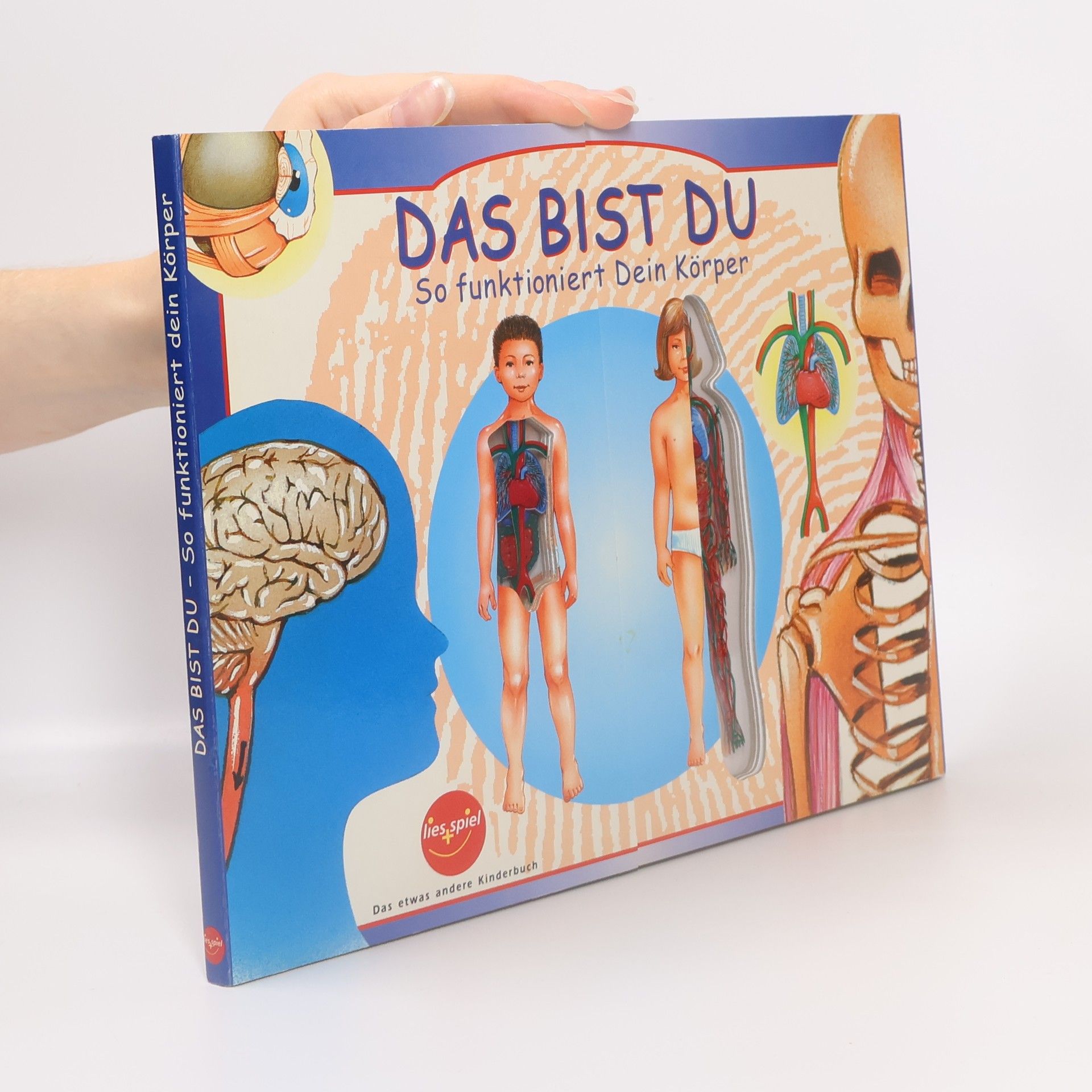kolektiv Das bist Du - So funktioniert dein Körper -