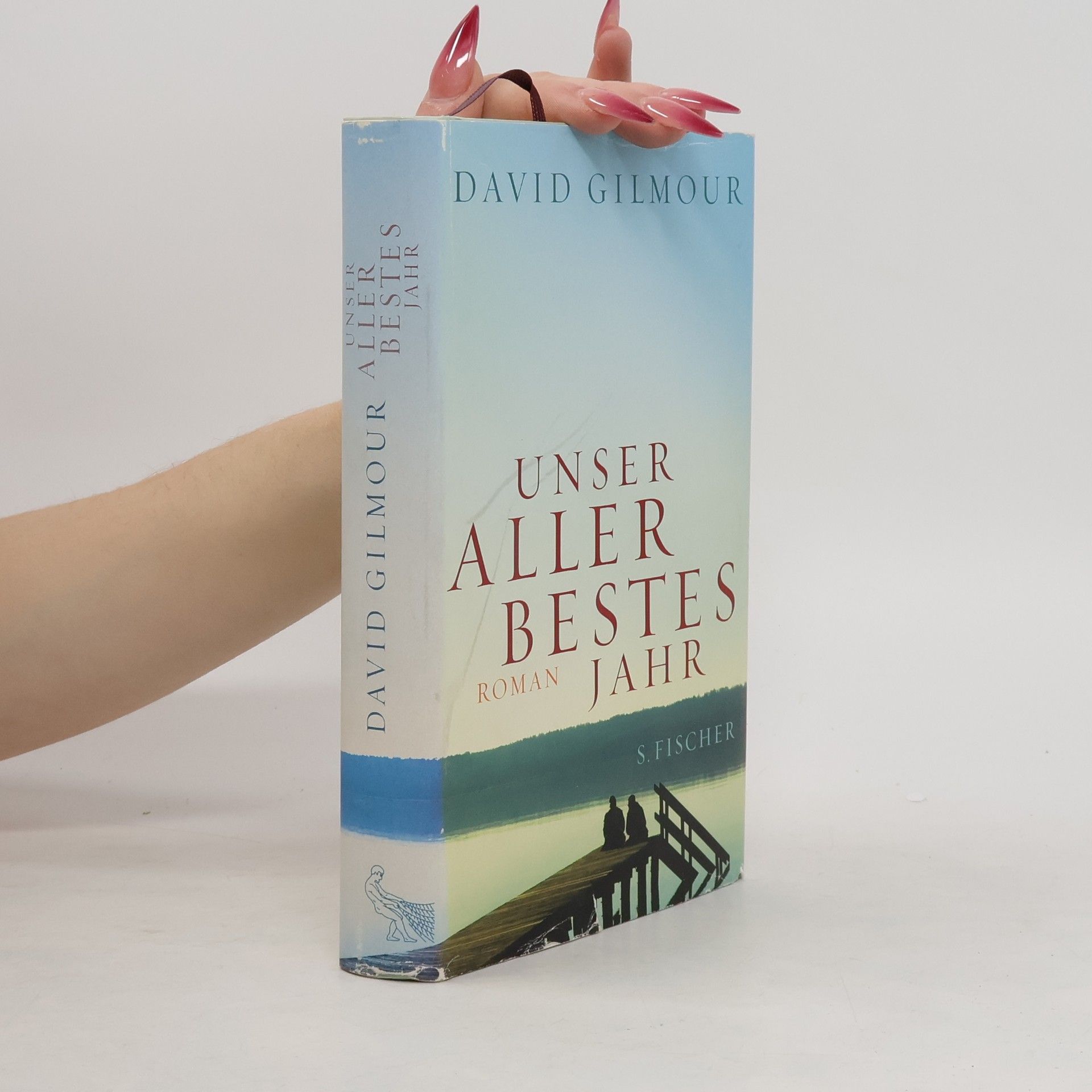 David Gilmour Unser allerbestes Jahr