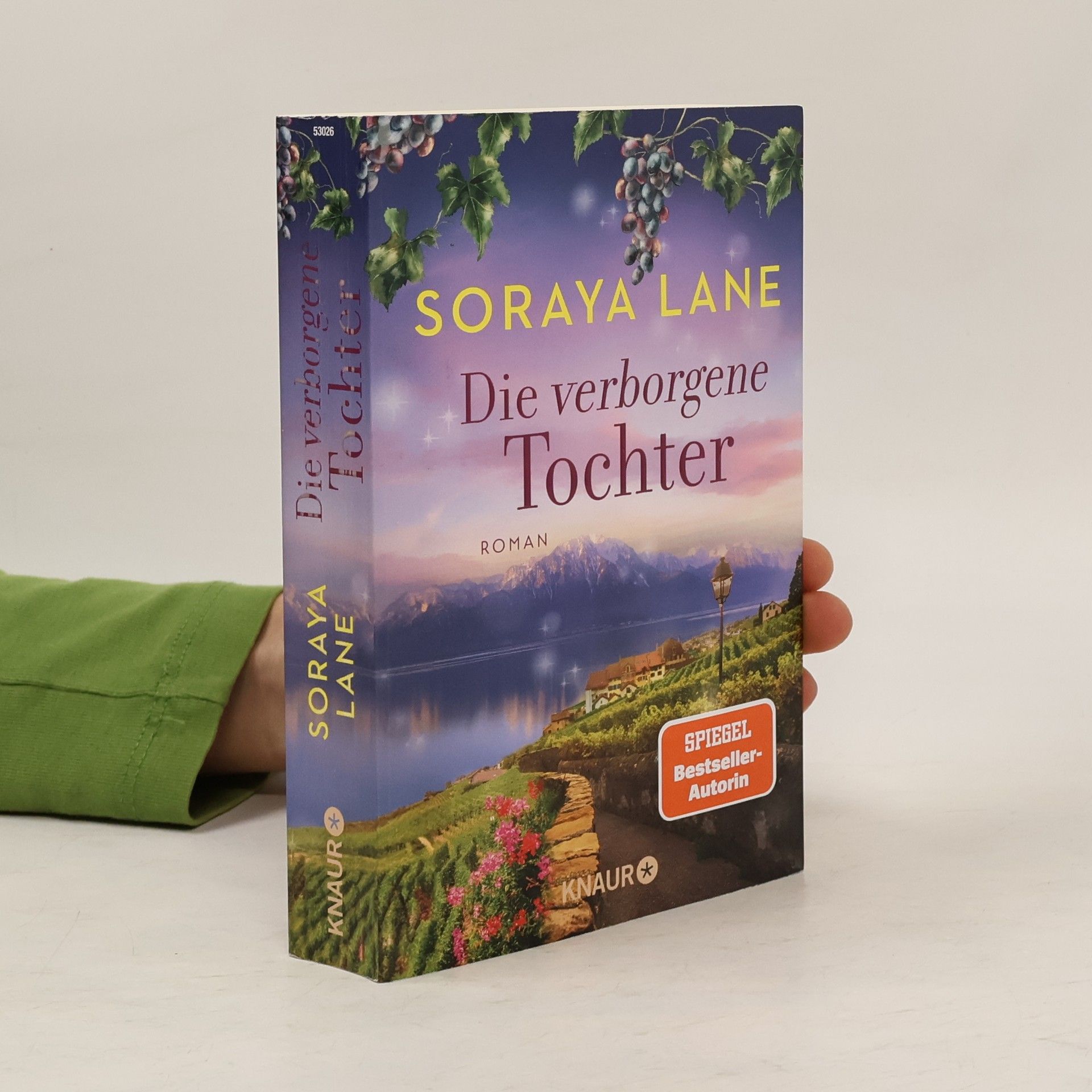 Soraya M. Lane Die verborgene Tochter / Die verlorenen Töchter Bd.4