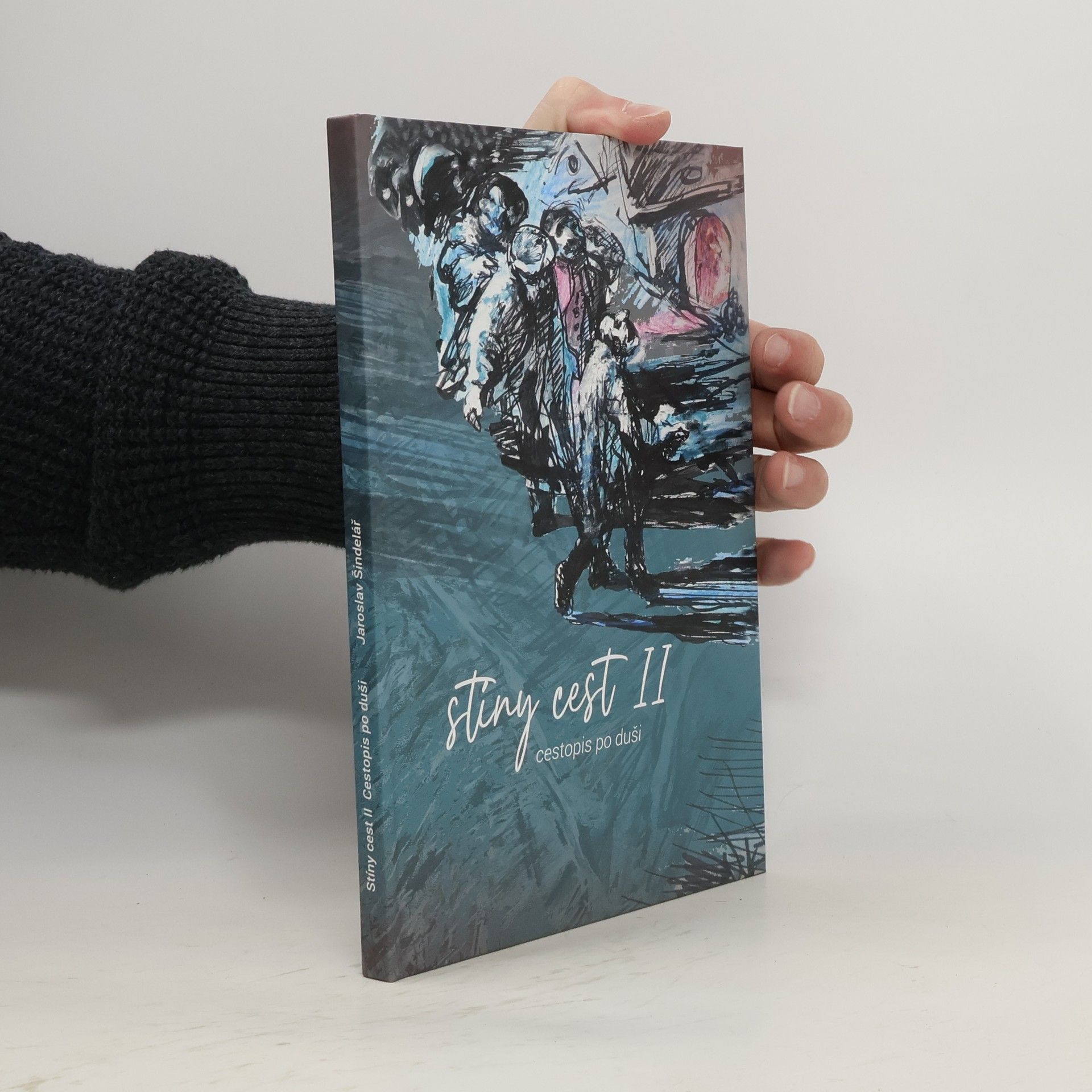 Stíny cest II : cestopis po duši