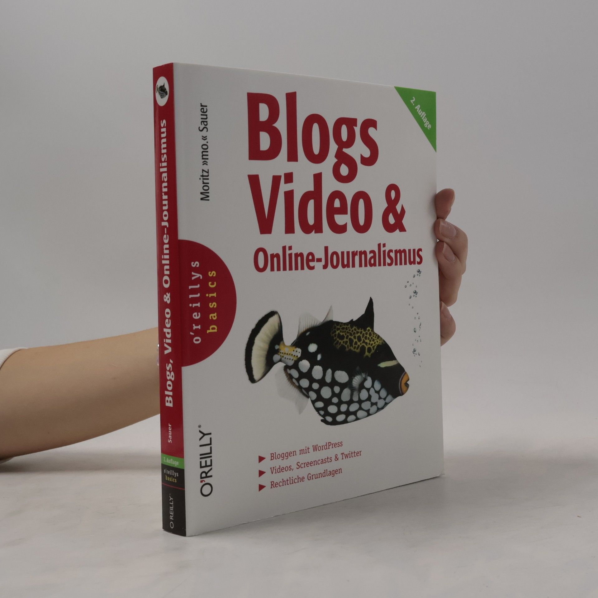 Moritz Sauer Blogs, Video und Online-Journalismus