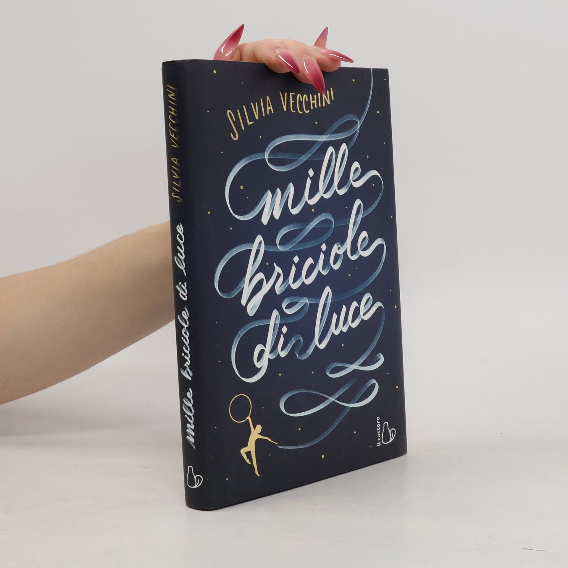 Silvia Vecchini Mille briciole di luce