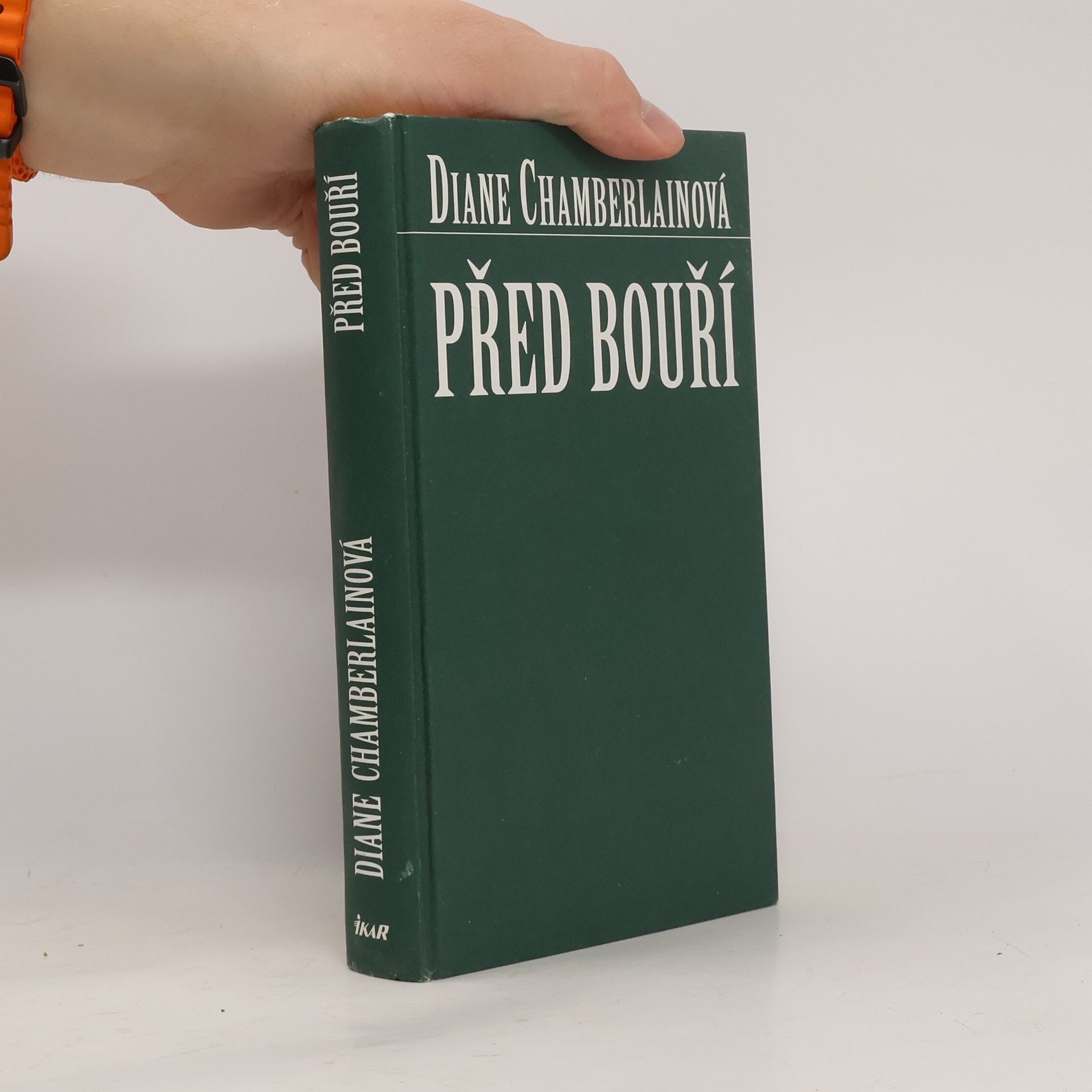 Diane Chamberlain Před bouří