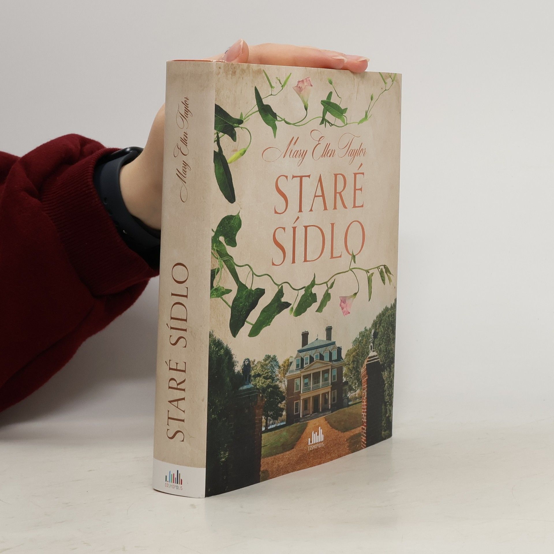 Mary Ellen Taylor Staré sídlo